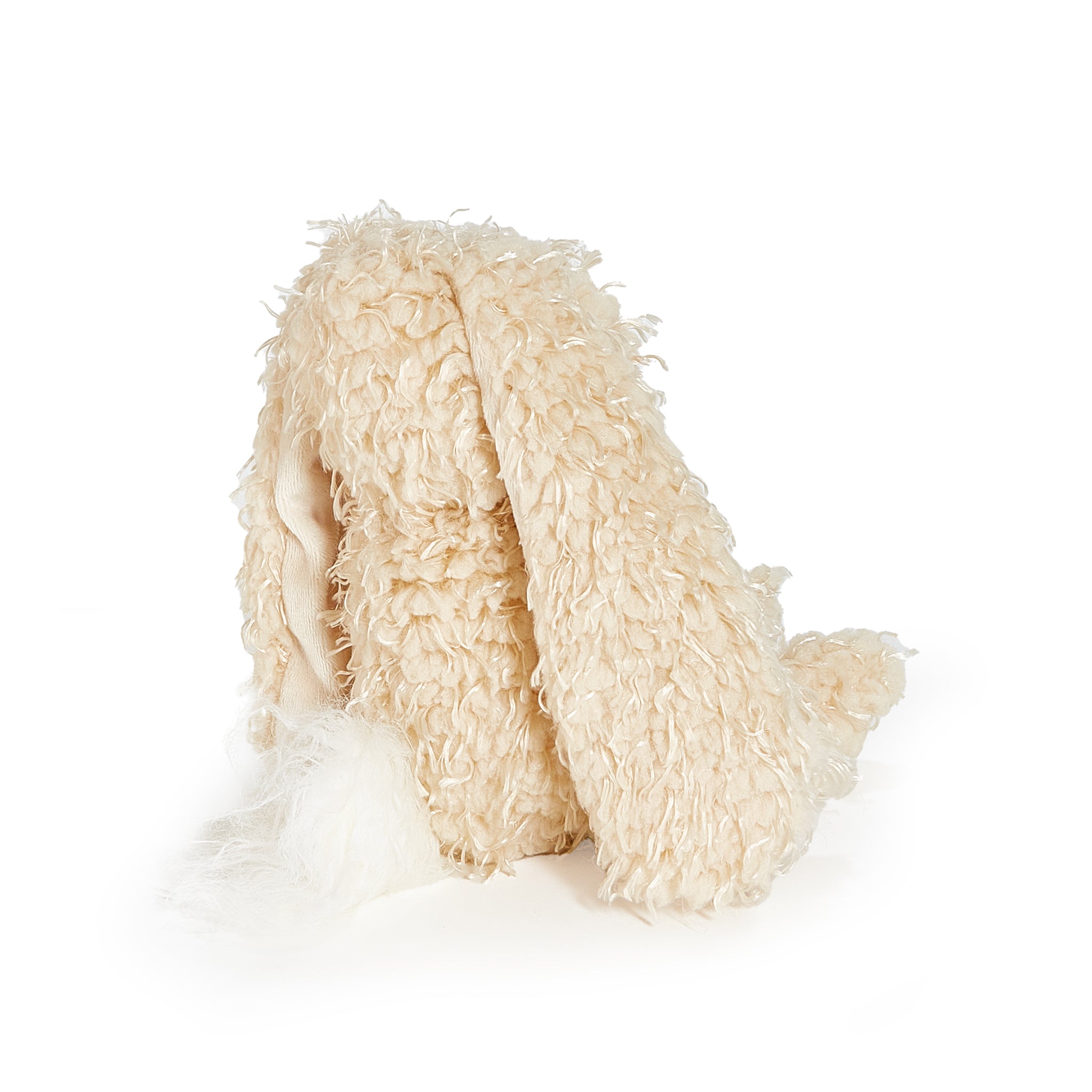 100307: Harey the Bunny