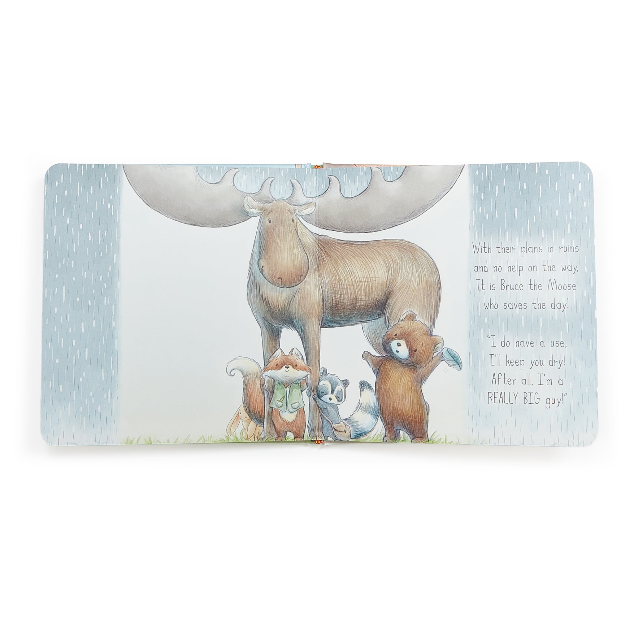 100312: Camp Cricket Board Book