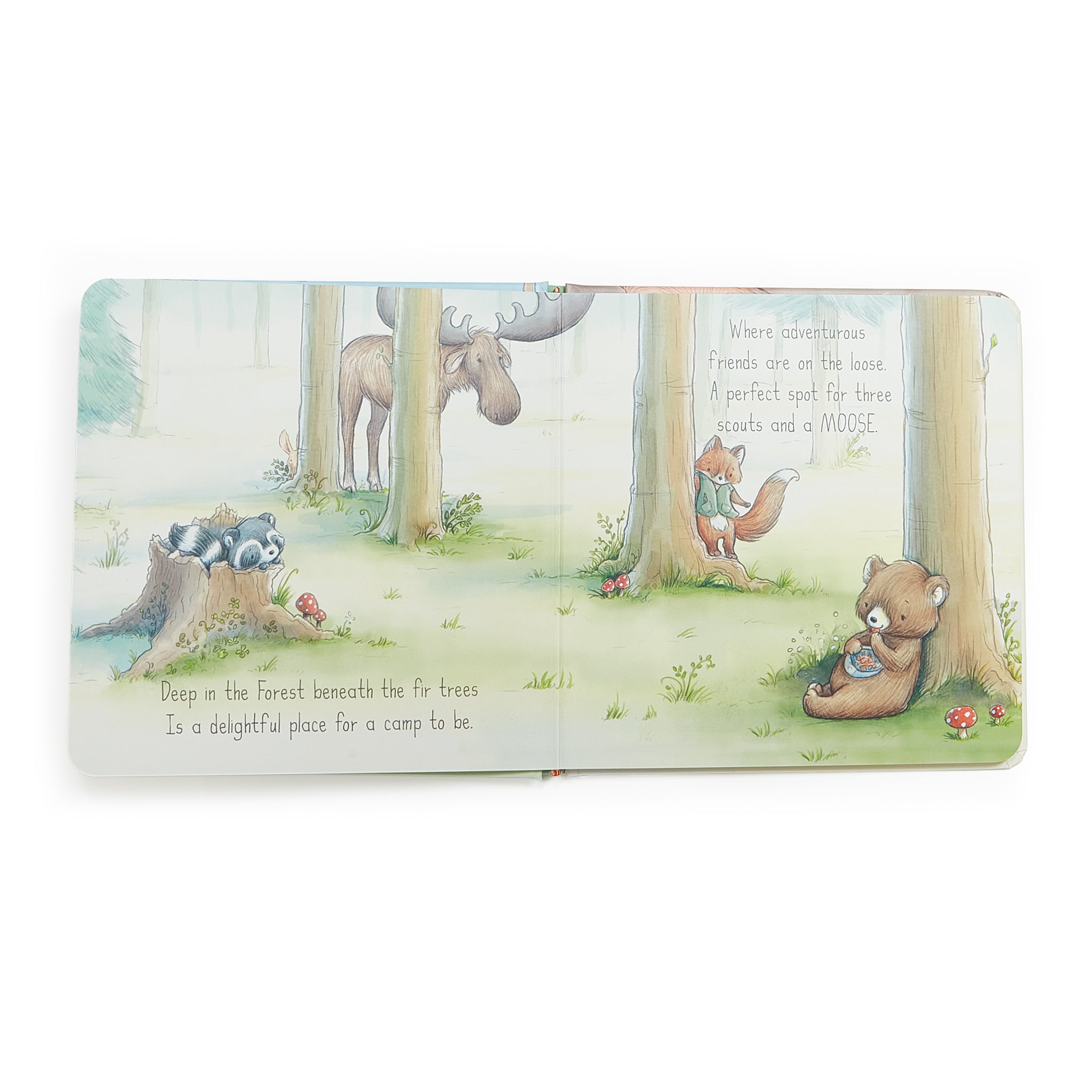 100312: Camp Cricket Board Book