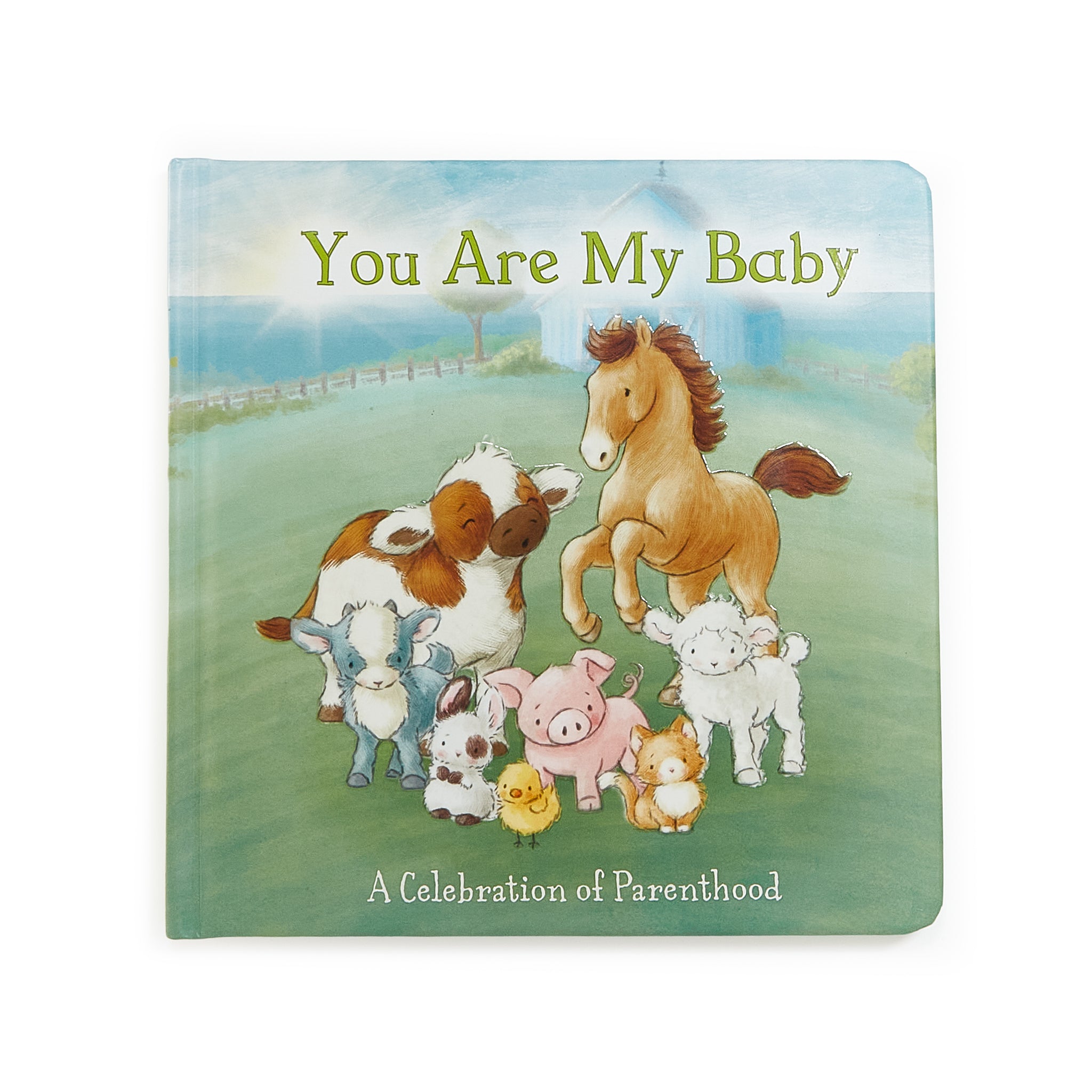 190136: You Are My Baby Board Book