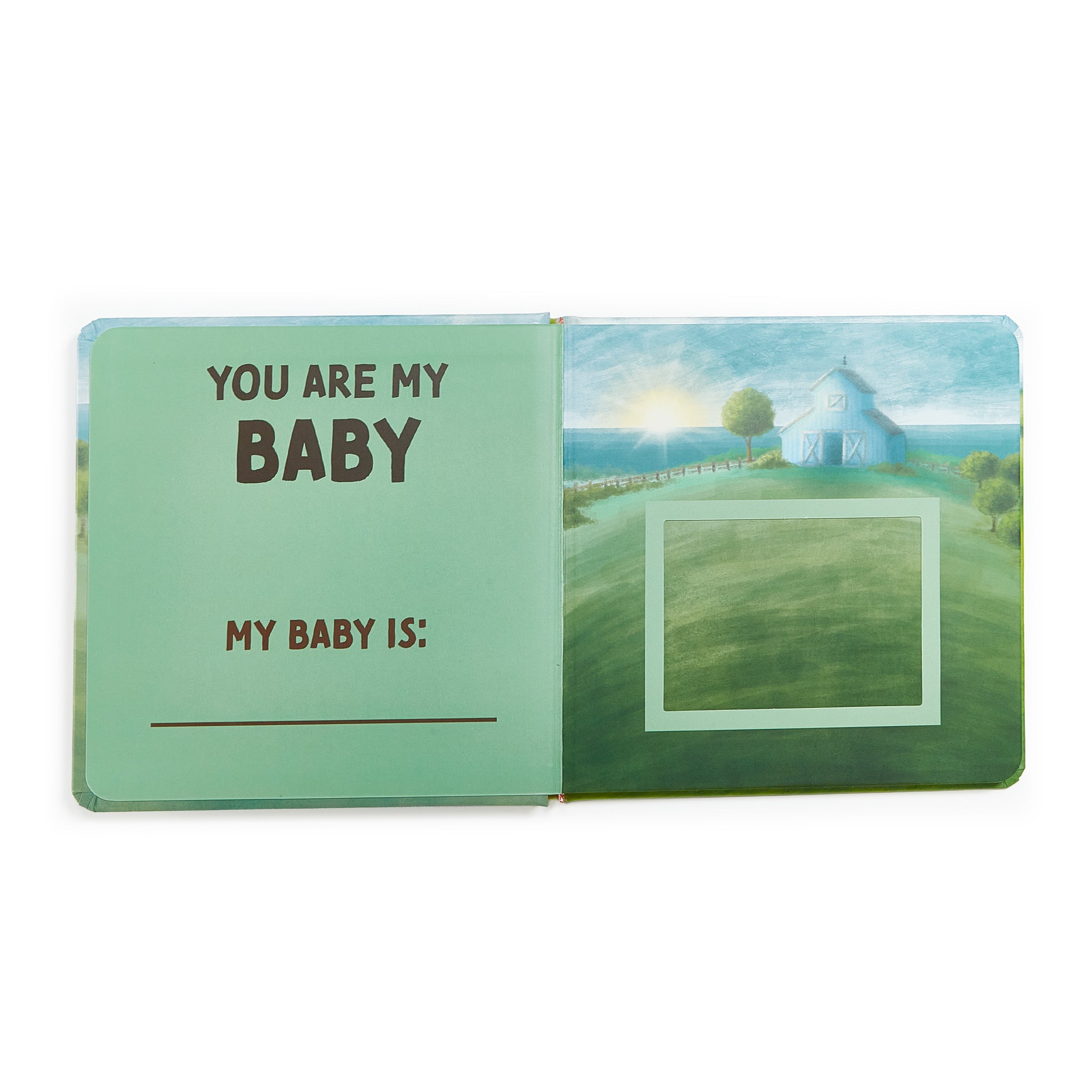 190136: You Are My Baby Board Book