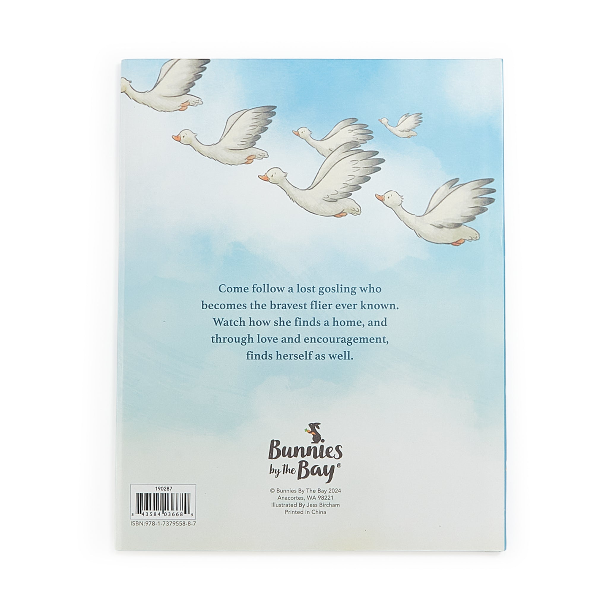 190287: Avery Aviator Learns to Soar Story Book