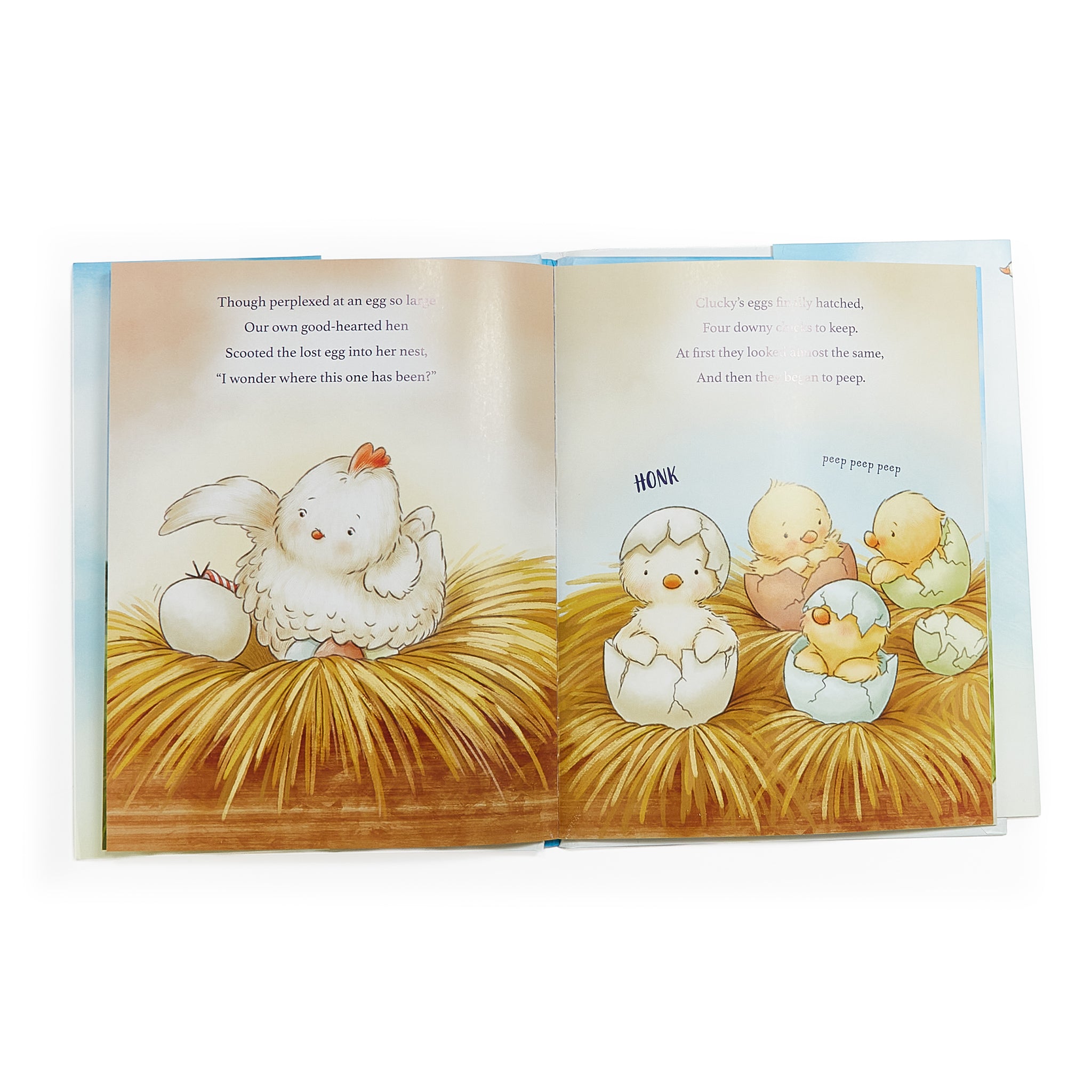 190287: Avery Aviator Learns to Soar Story Book