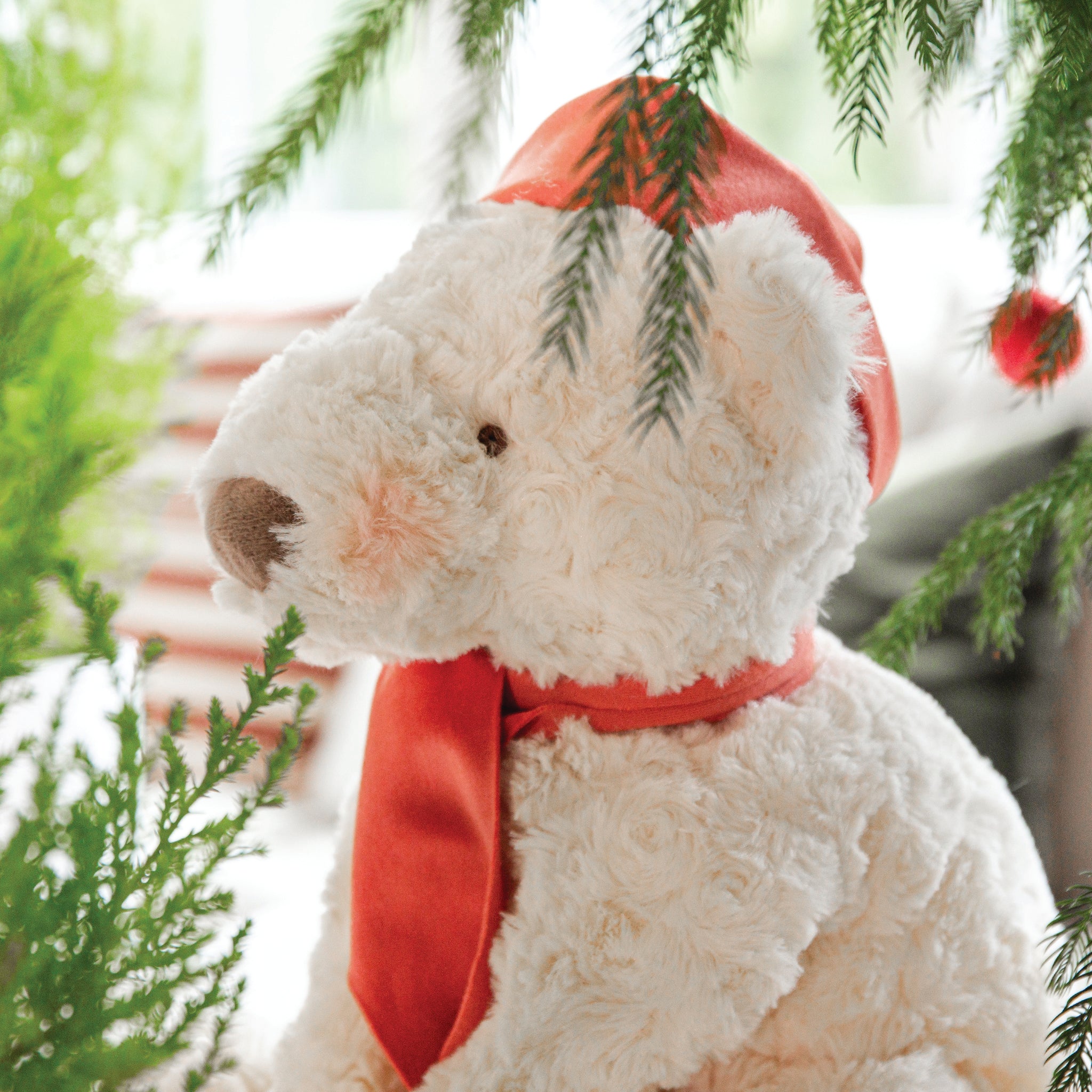 190426: Bo The Polar Bear