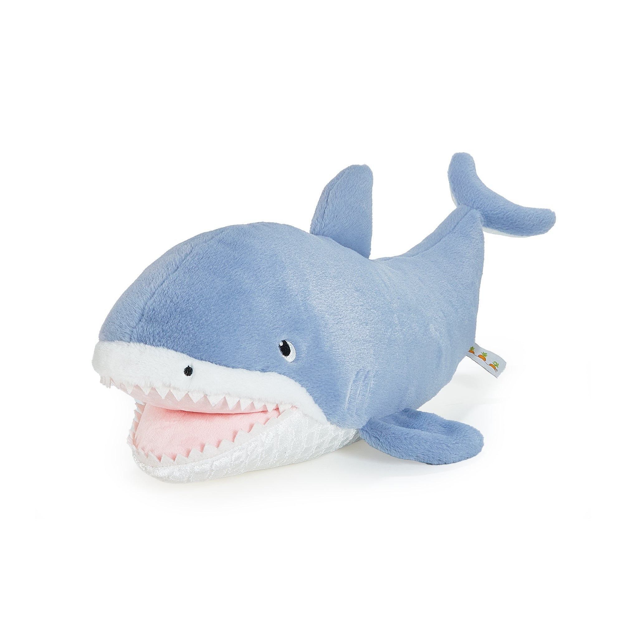 190629: Axel the Shark