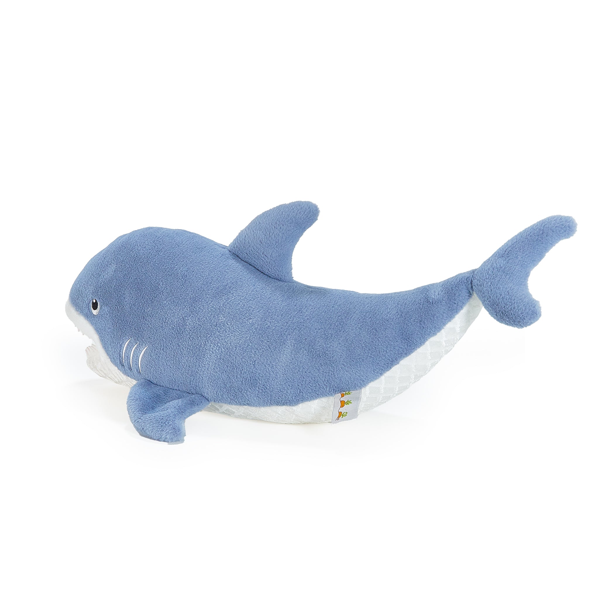 190629: Axel the Shark