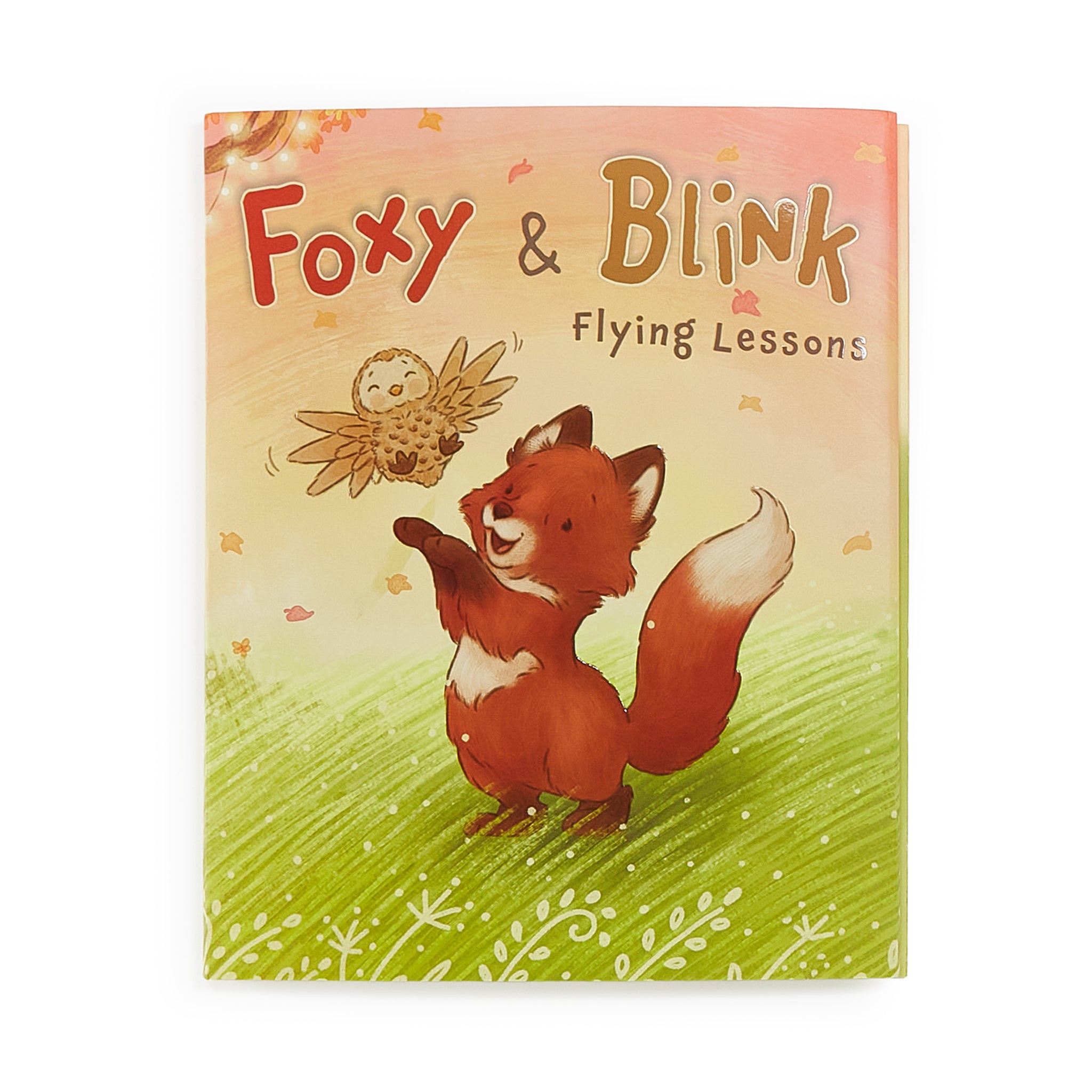 190632: Foxy & Blink Flying Lesson Story Book