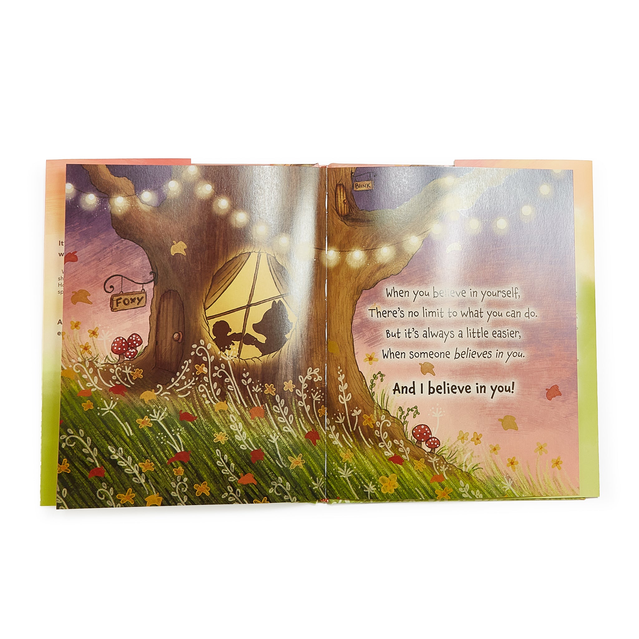 190632: Foxy & Blink Flying Lesson Story Book