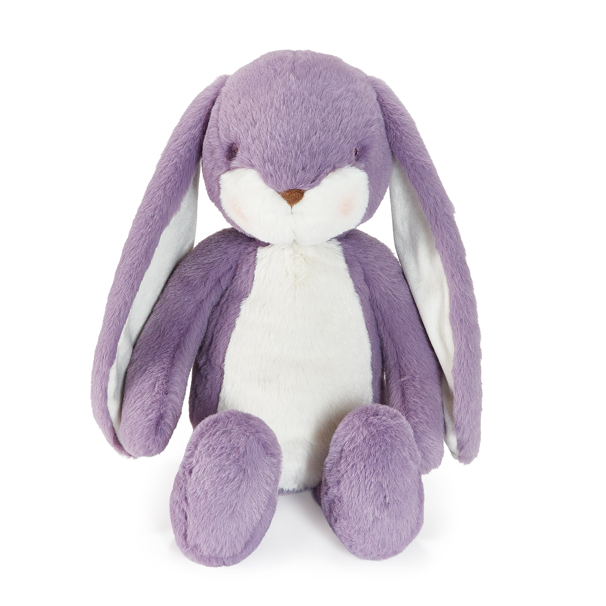 Purple stuffed animal bunny with long ears on white background