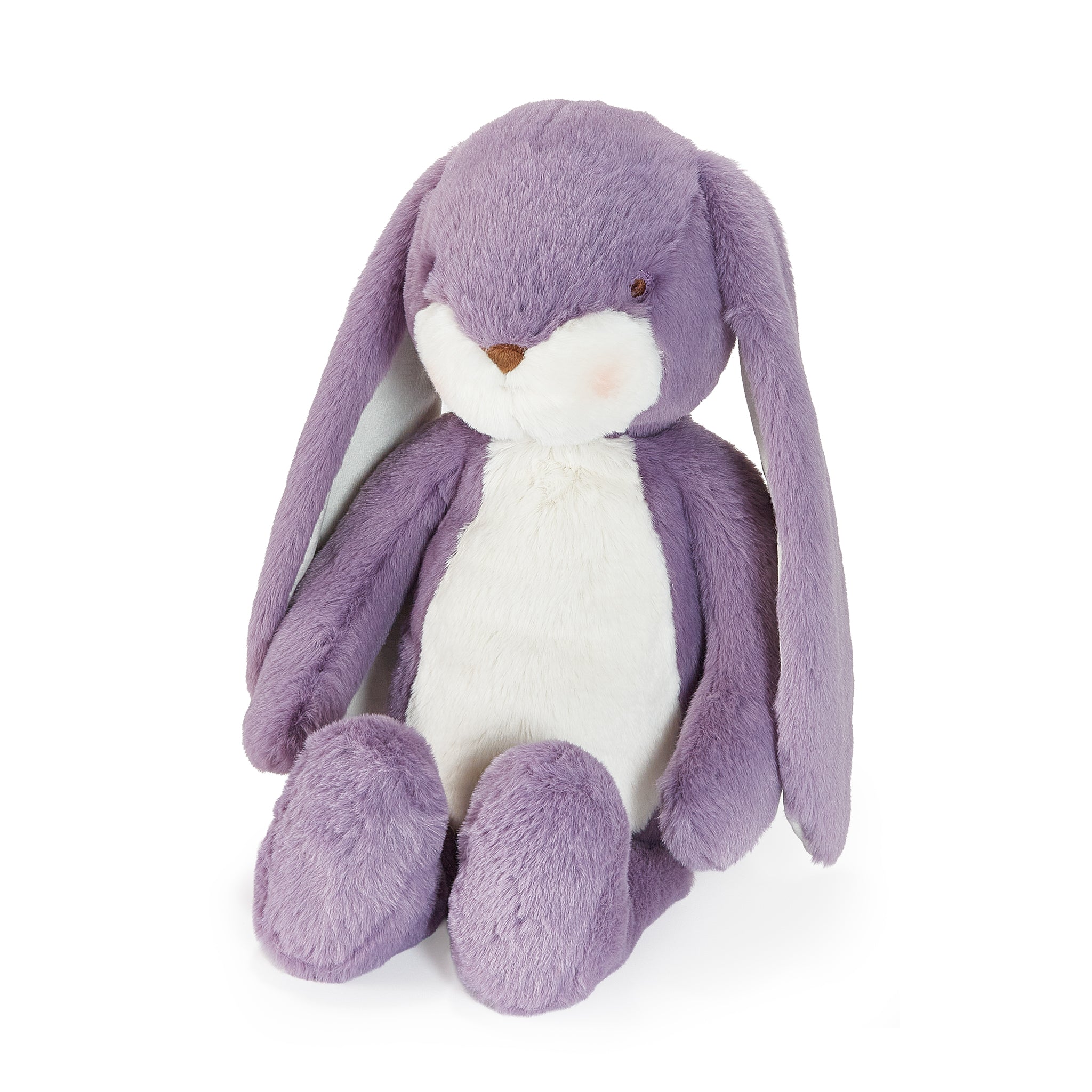 Purple stuffed animal bunny with long ears on white background