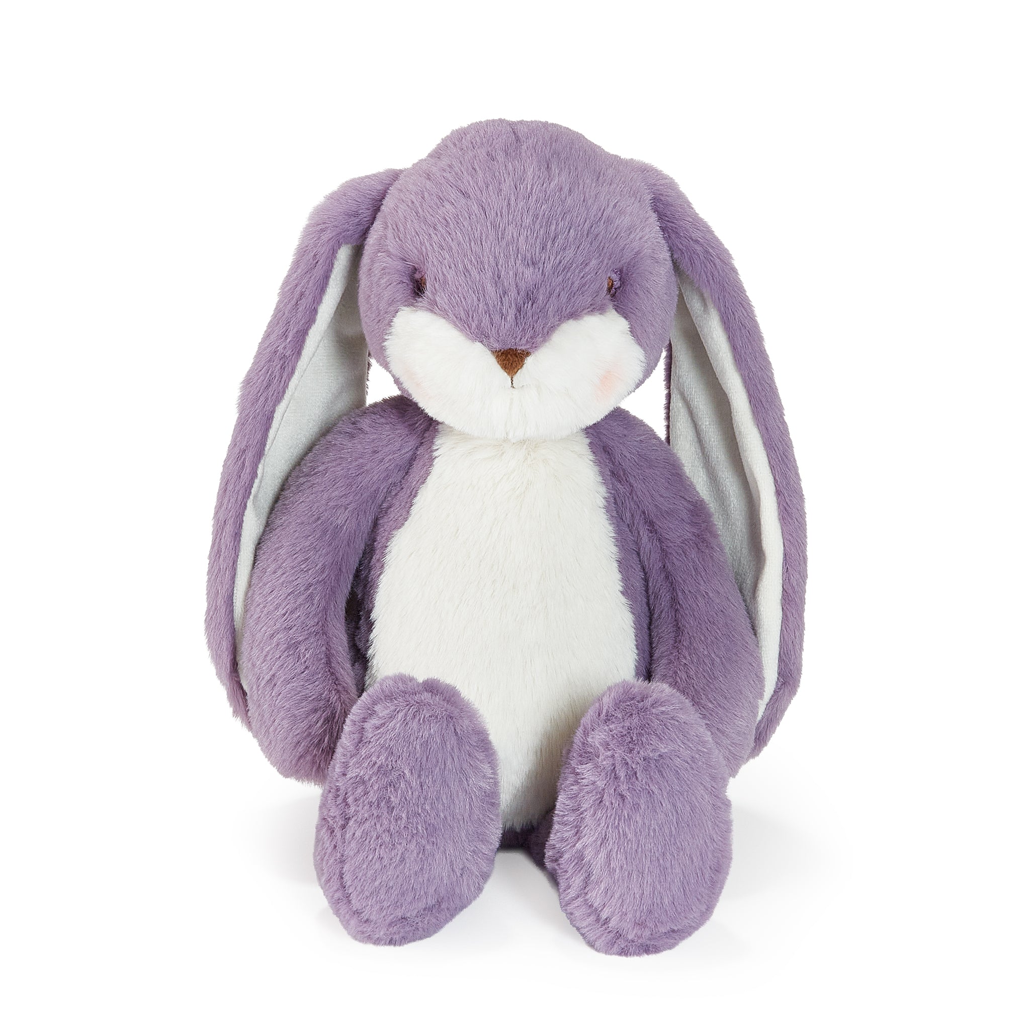 Purple stuffed animal bunny on white background