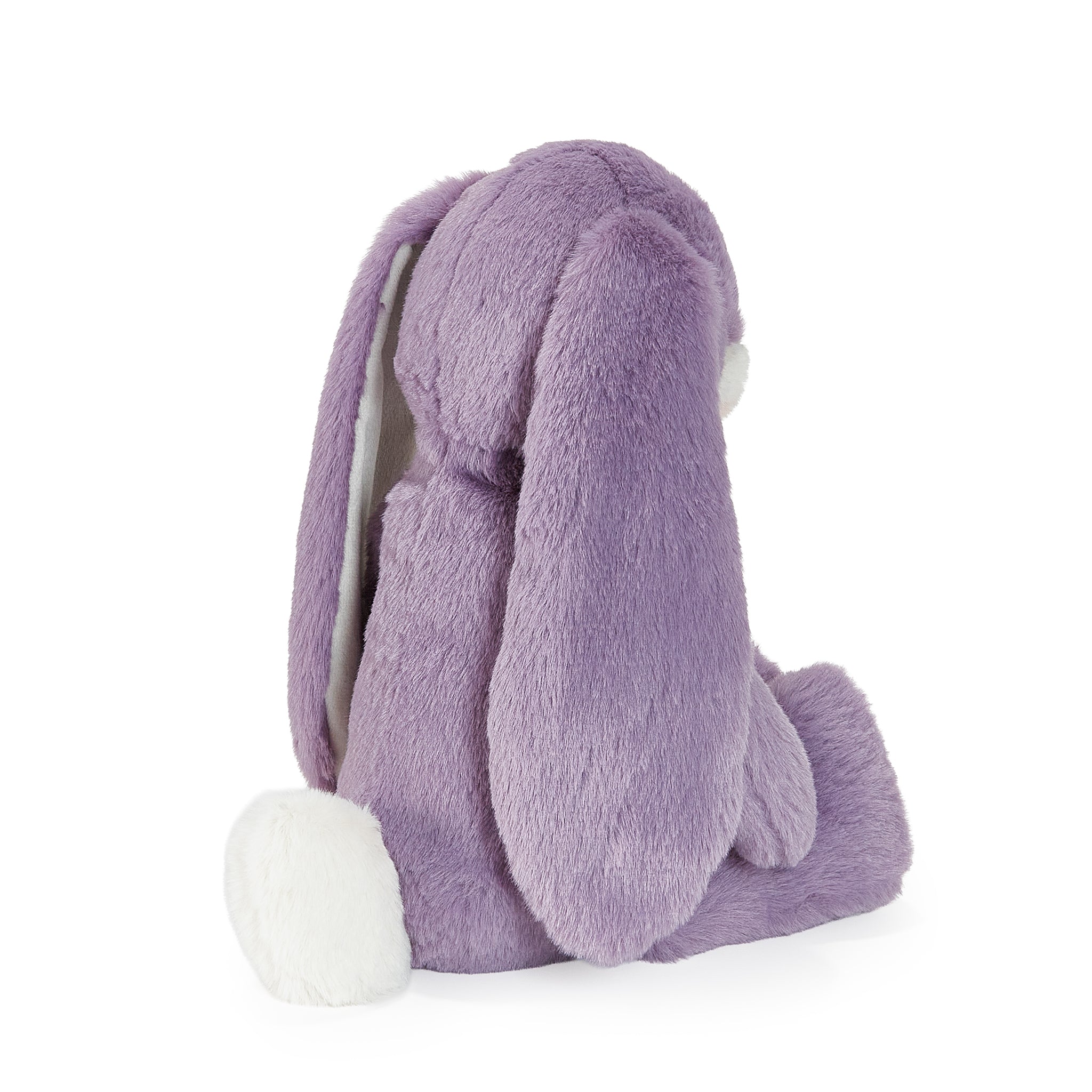 Purple stuffed animal bunny on white background