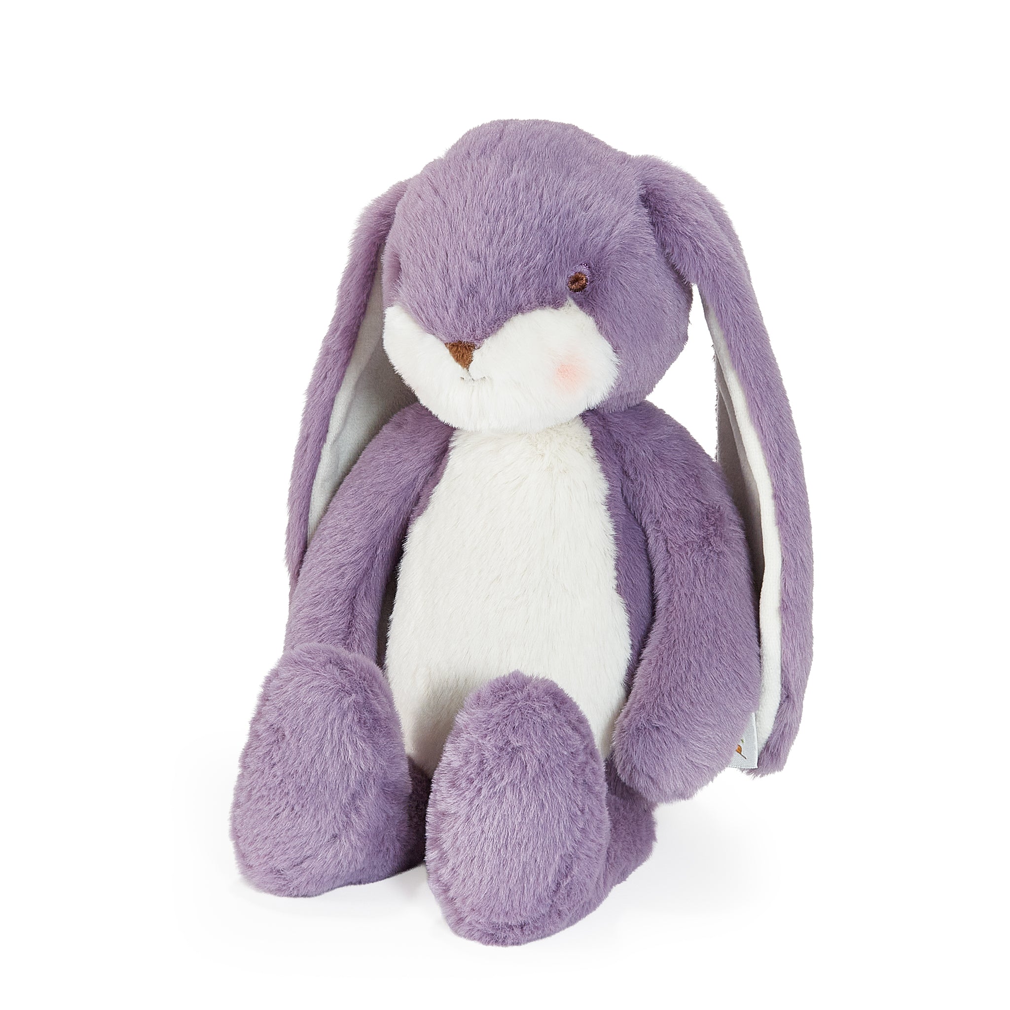 Purple stuffed animal bunny on white background