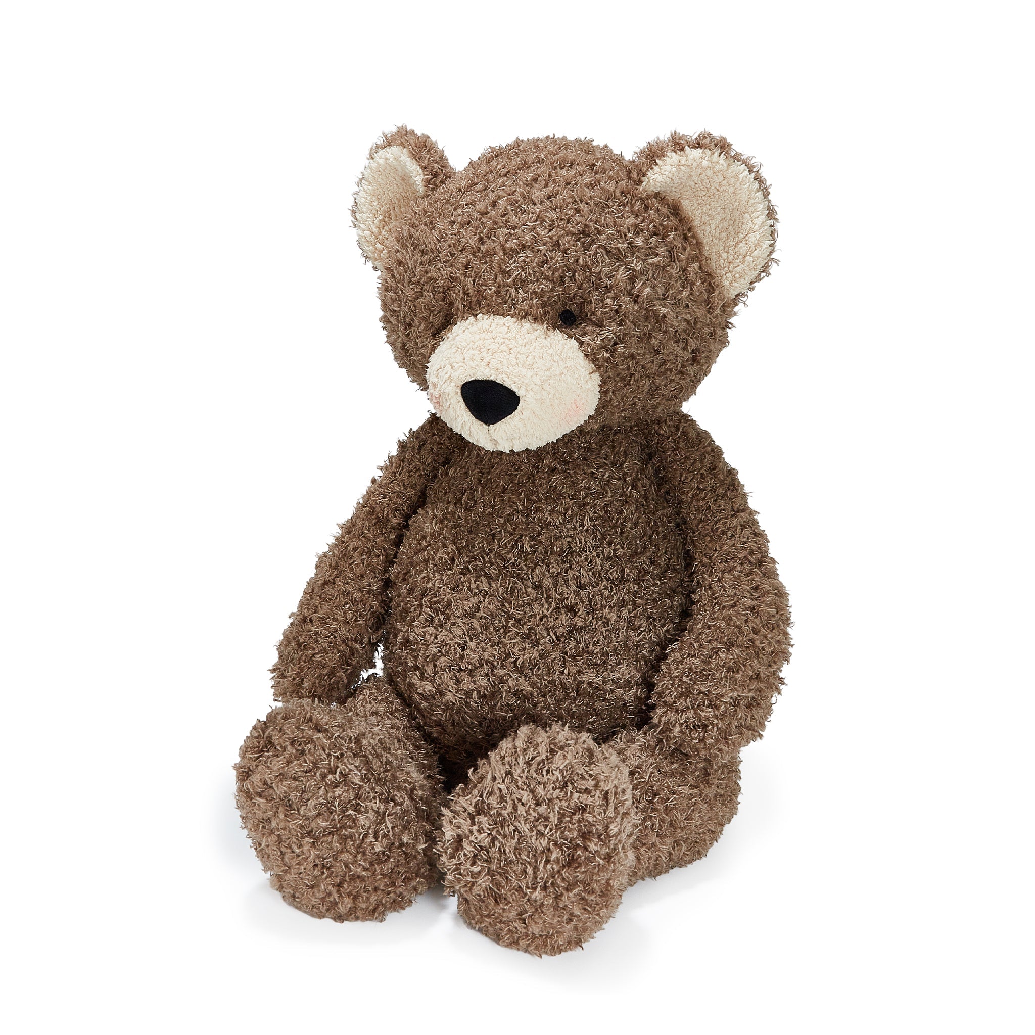 Brown teddy bear on a white background