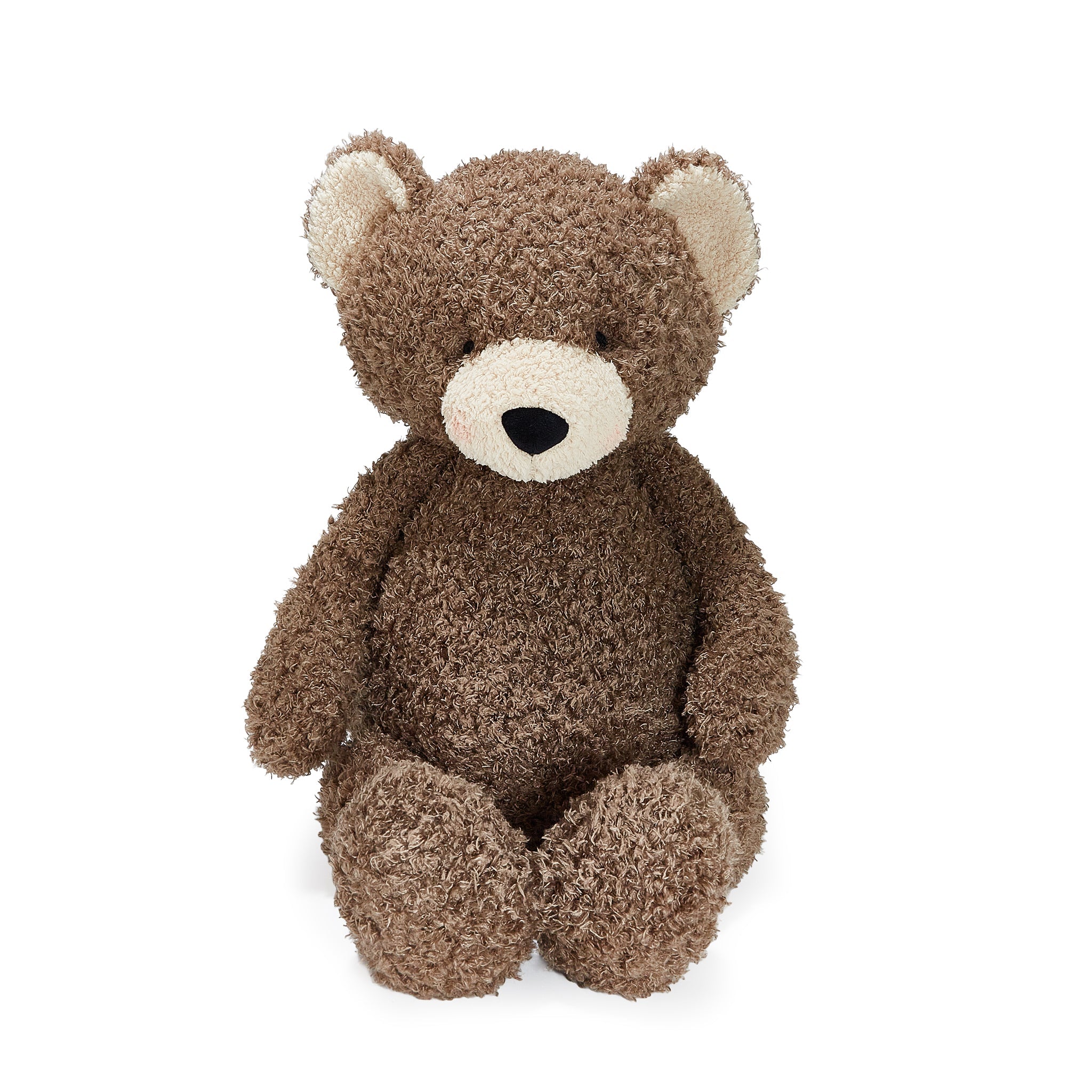 Brown teddy bear on a white background