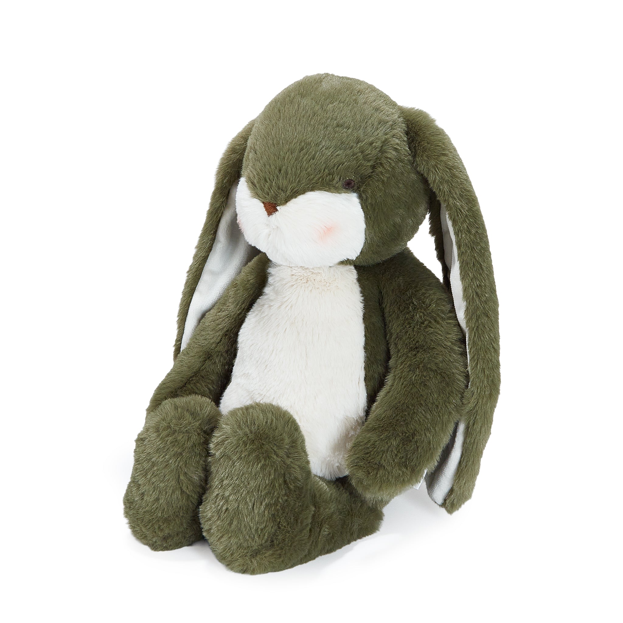 Green plush bunny toy on a white background