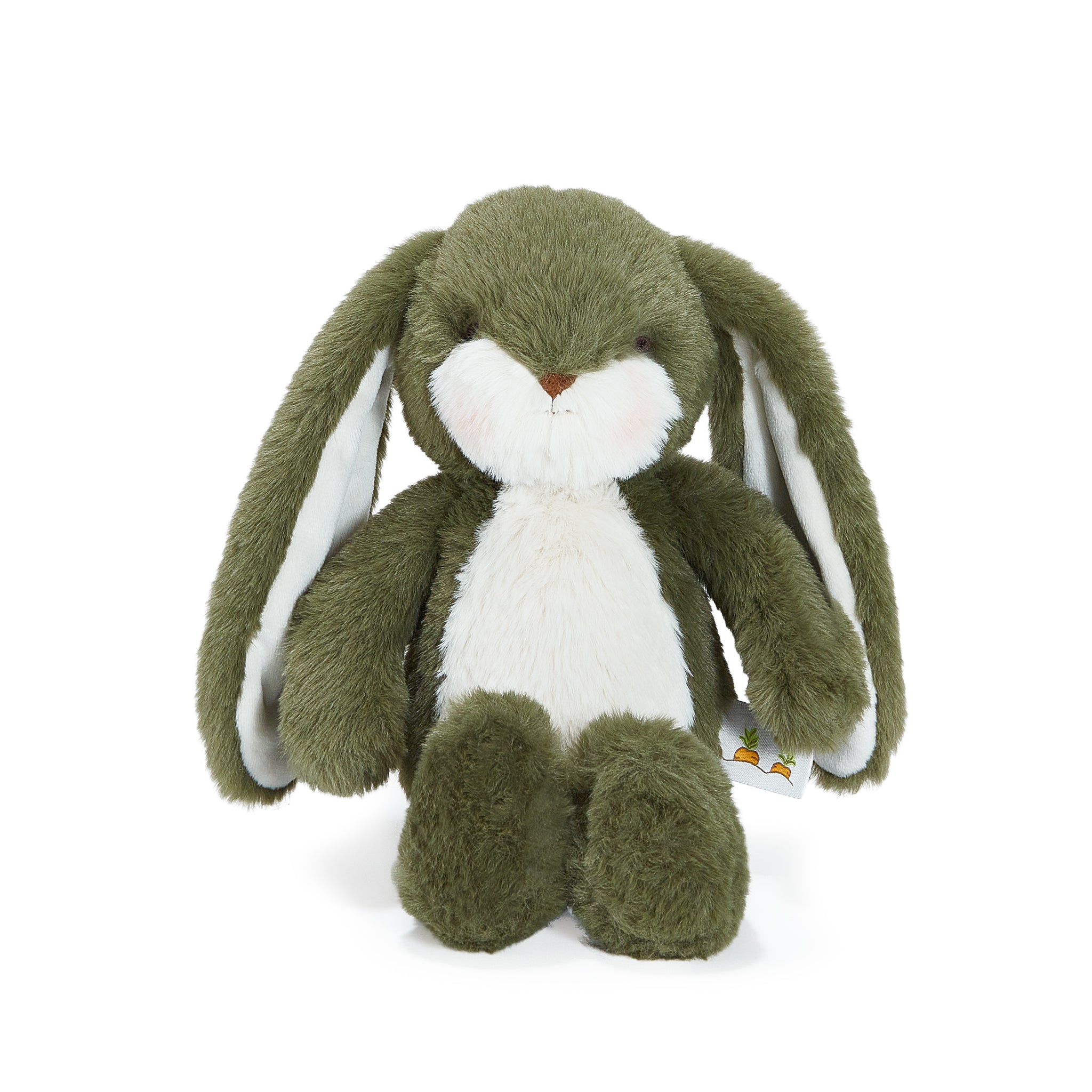 Green plush bunny toy on a white background