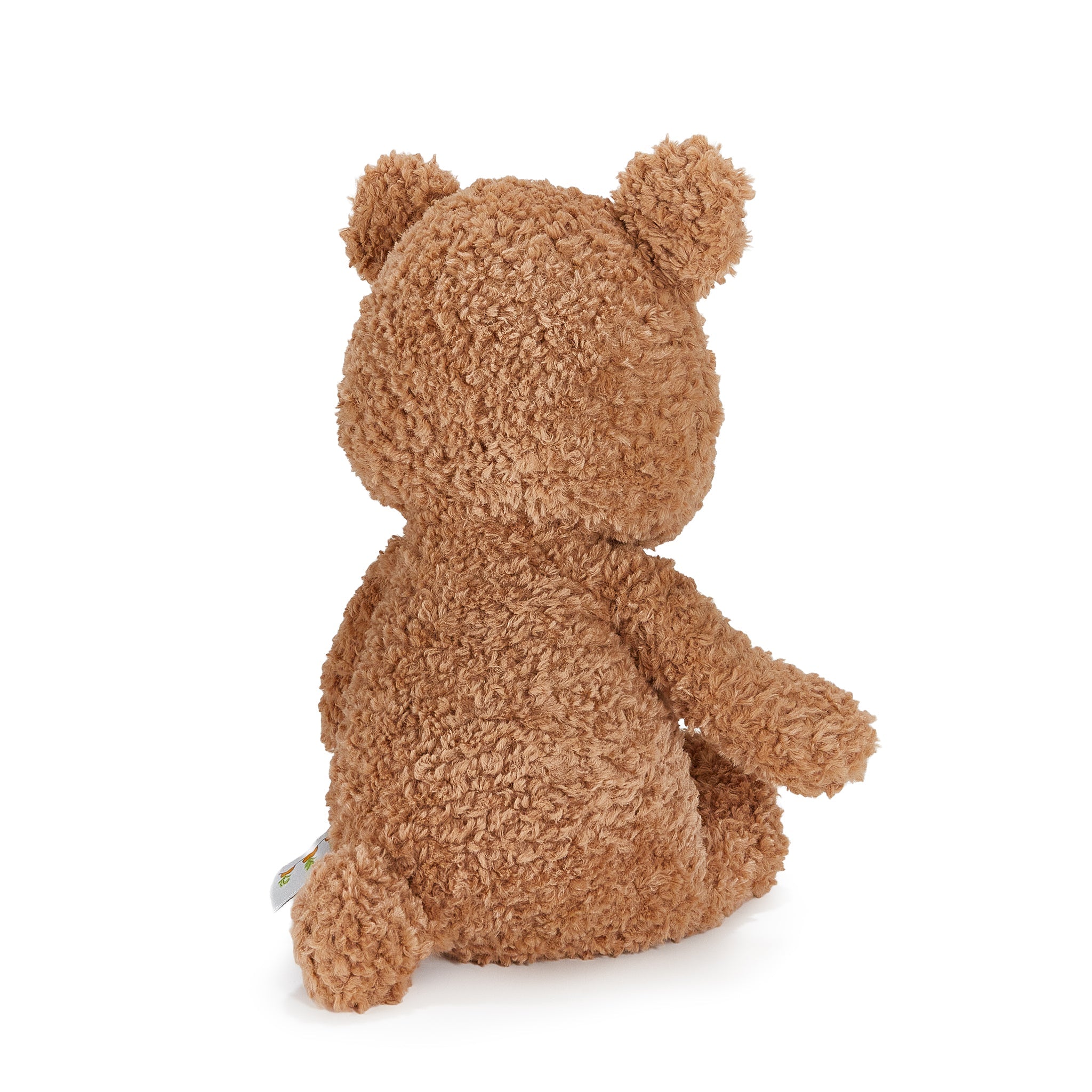 Brown teddy bear sitting on a white background