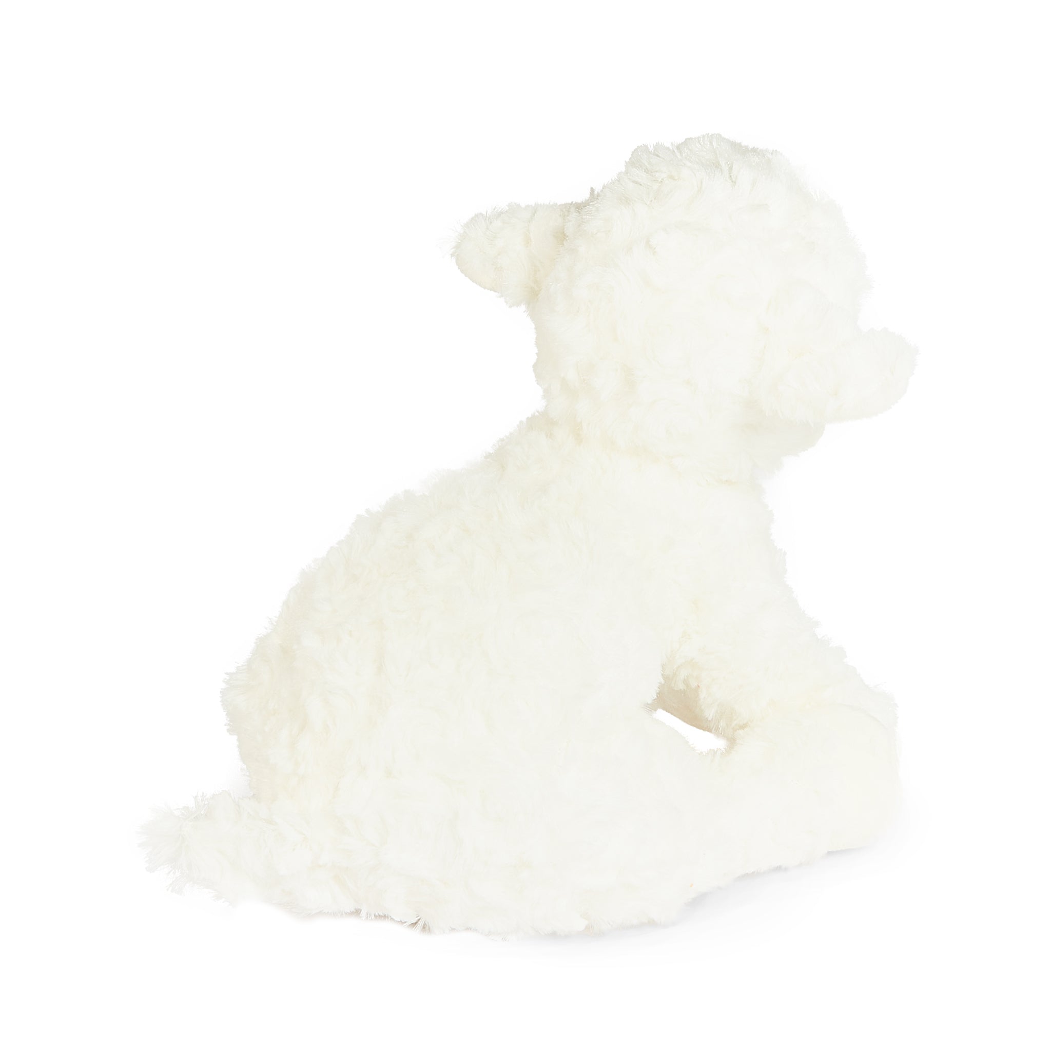 270029: Kiddo the Lamb