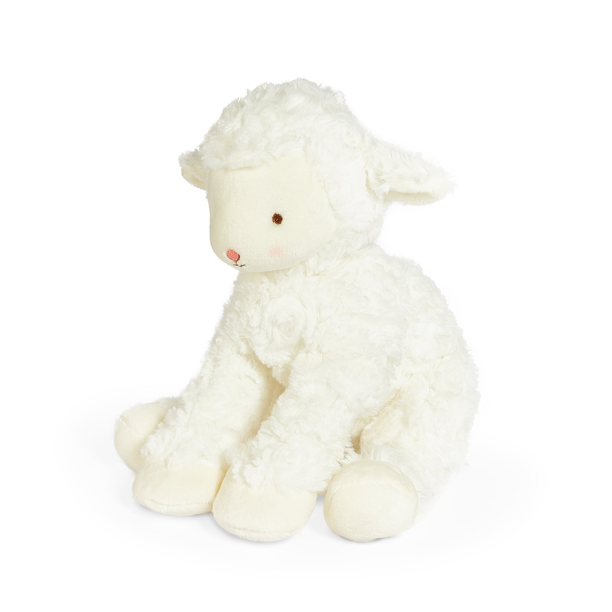 270029: Kiddo the Lamb