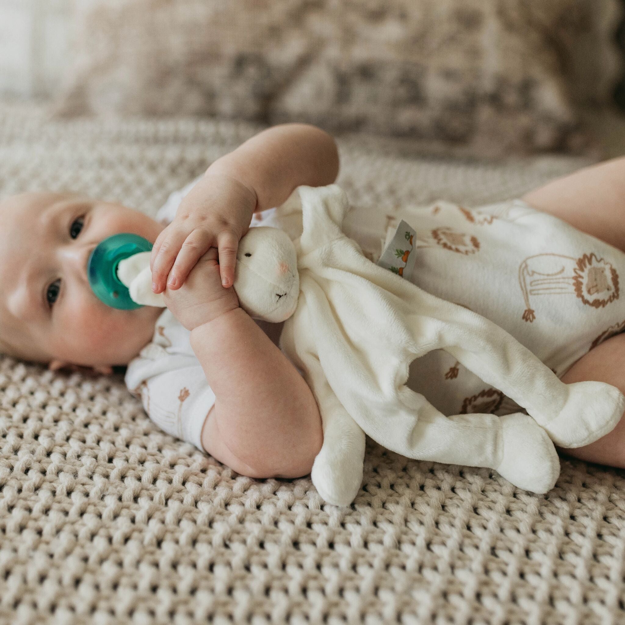 141207: Bun Bun Bunny Silly Buddy