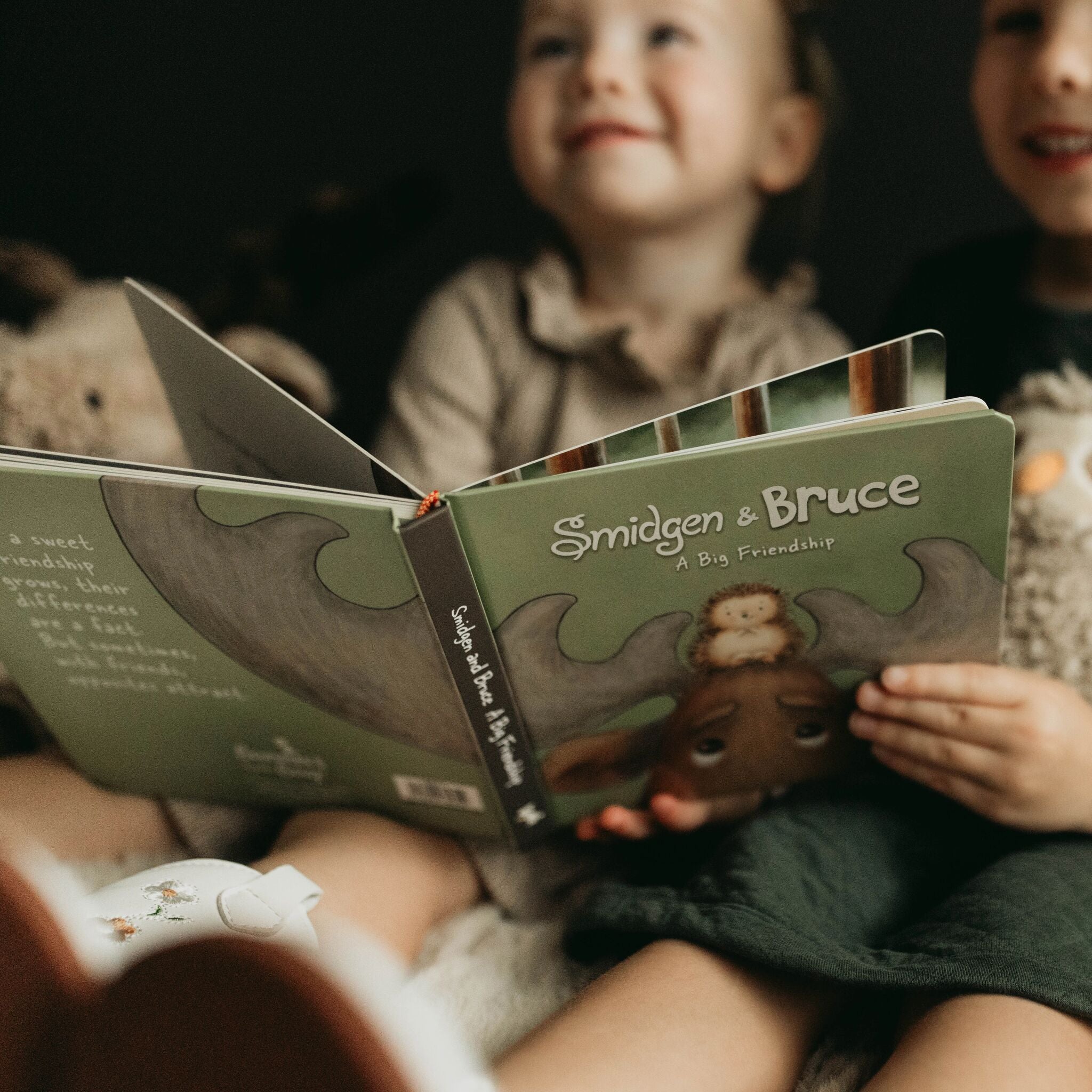 730017: Smidgen and Bruce, A Big Friendship Board Book