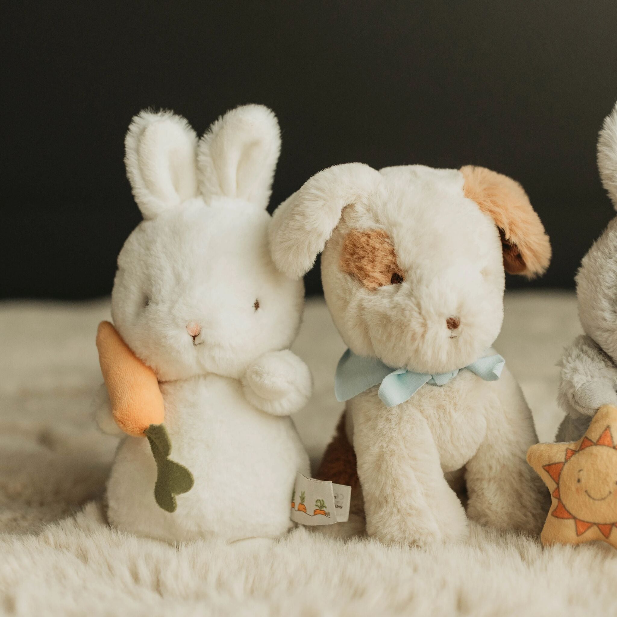 100902: Cricket Island Skipit Puppy