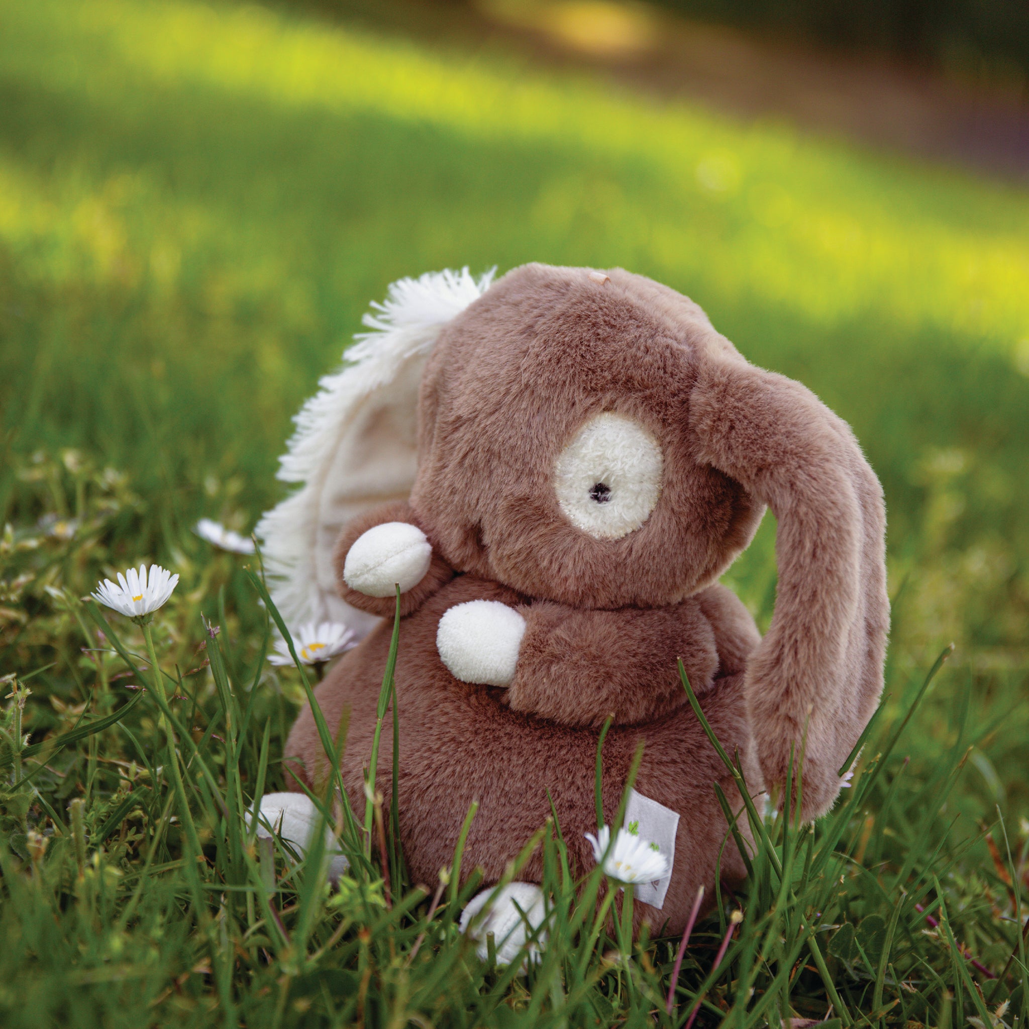 580597: Baby Harriet Hare