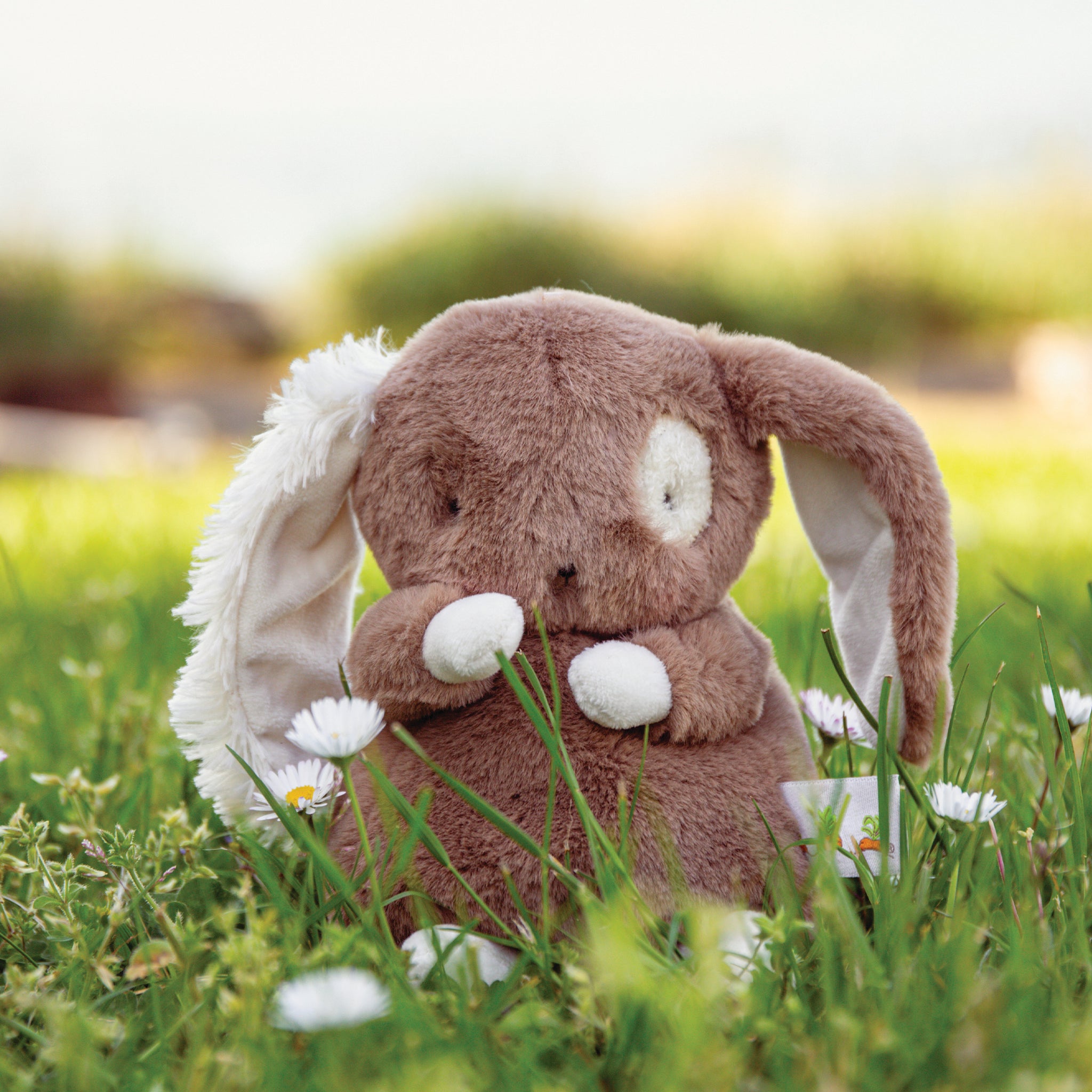 580597: Baby Harriet Hare