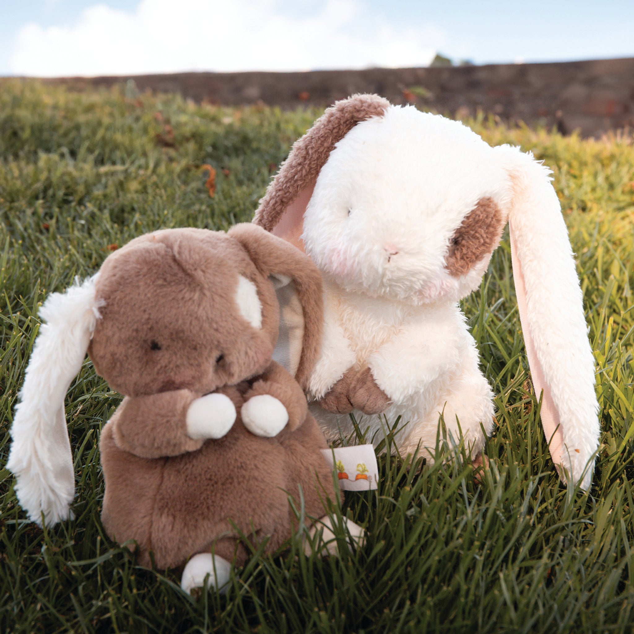 580596: Herby Hare