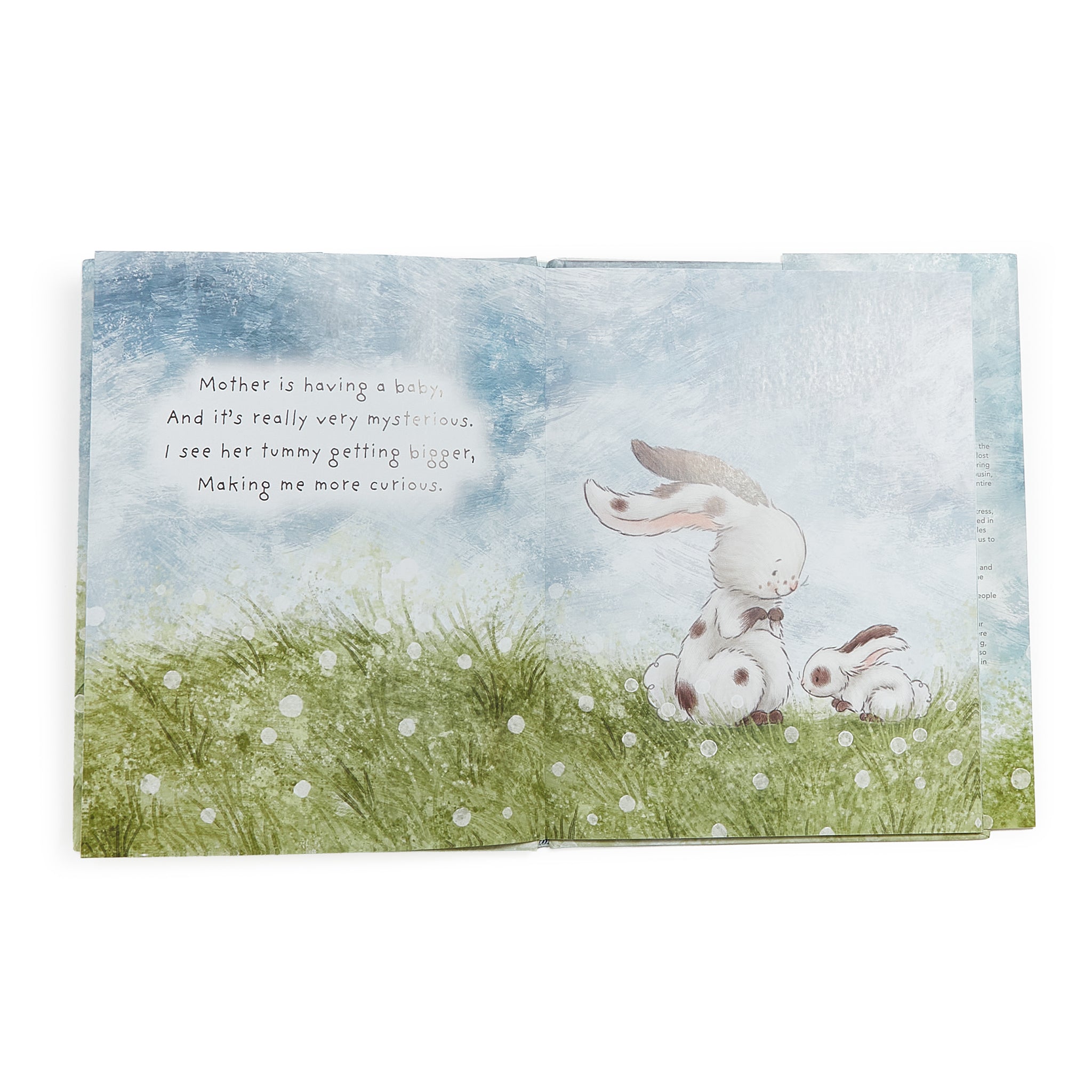 730019: Who Will Our New Baby Be? Story Book