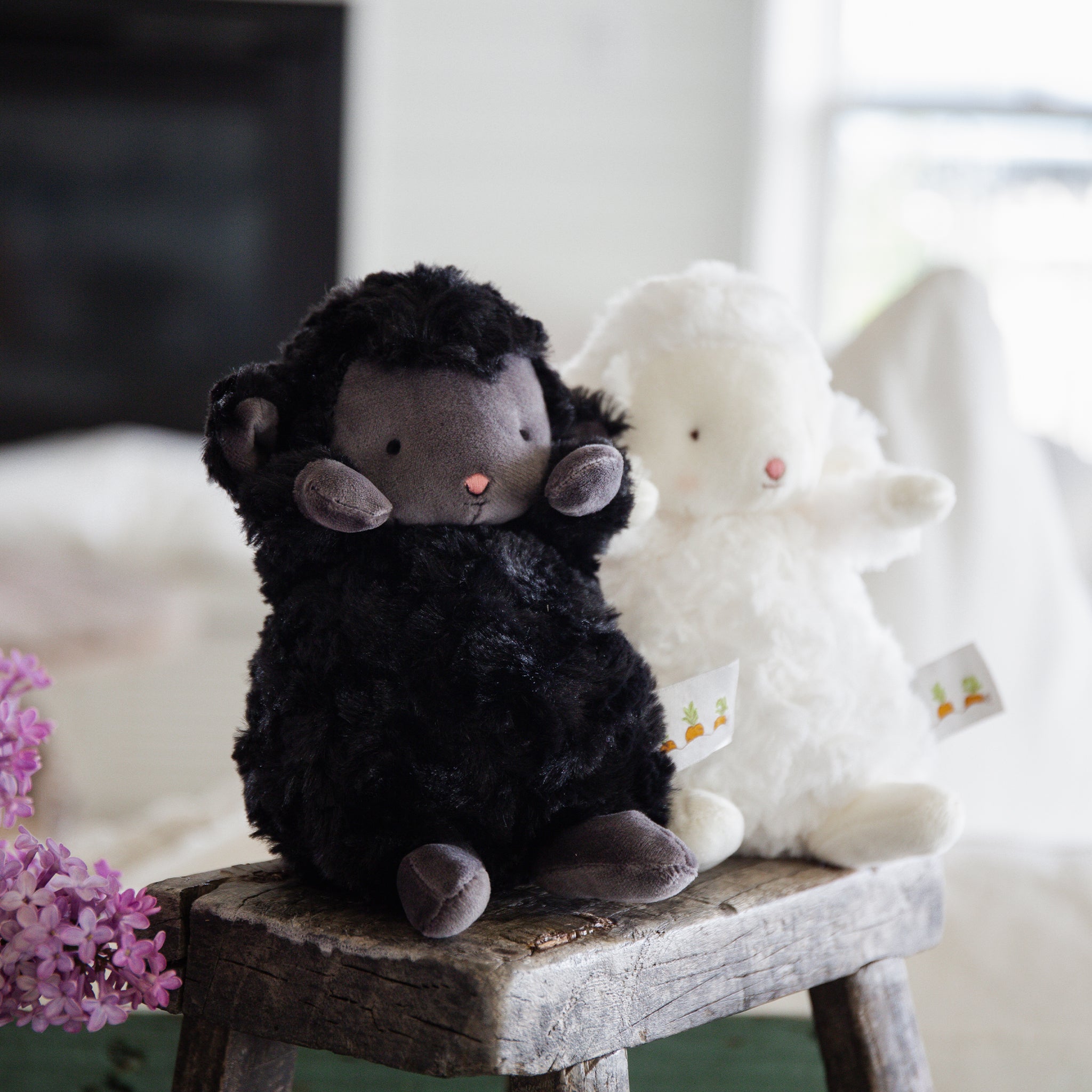 824378: Wee Kiddo the Lamb - Black