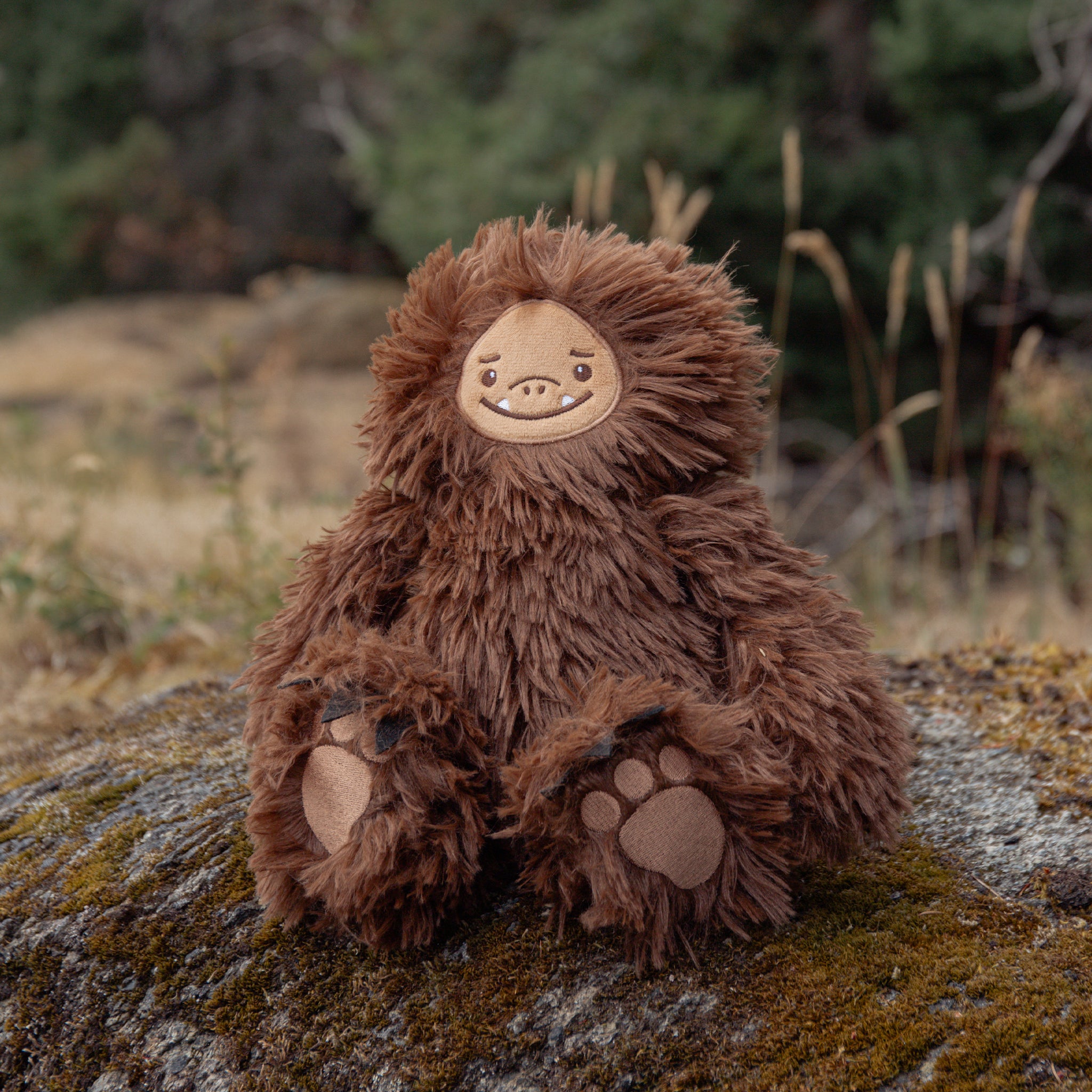190646: Cascadia PNW - Sully the Sasquatch