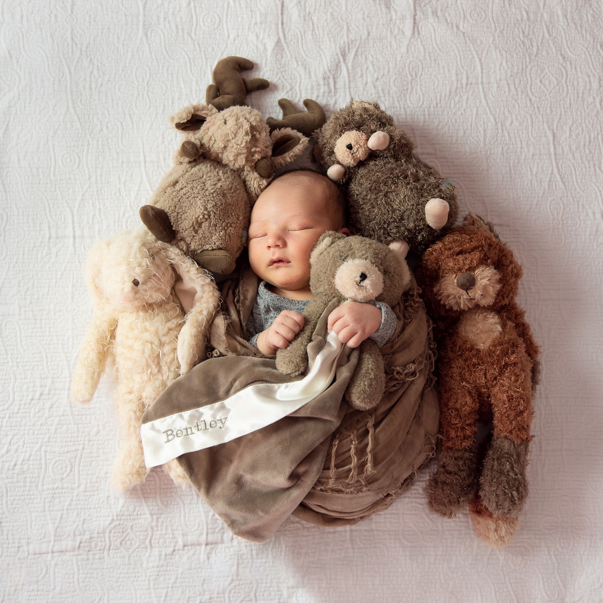 100309: Foxy the Fox