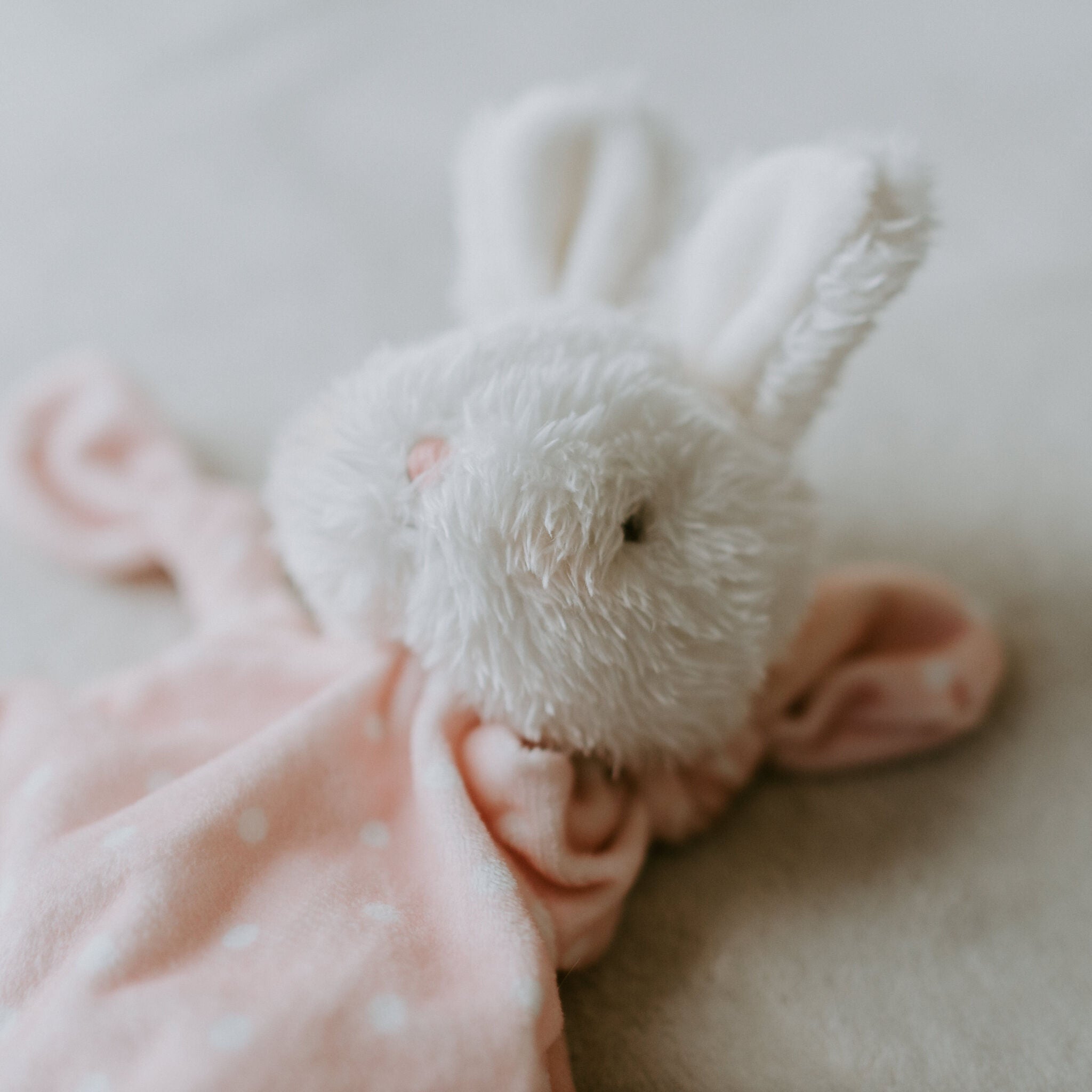 100223: Blossom Bunny Knotty Friend