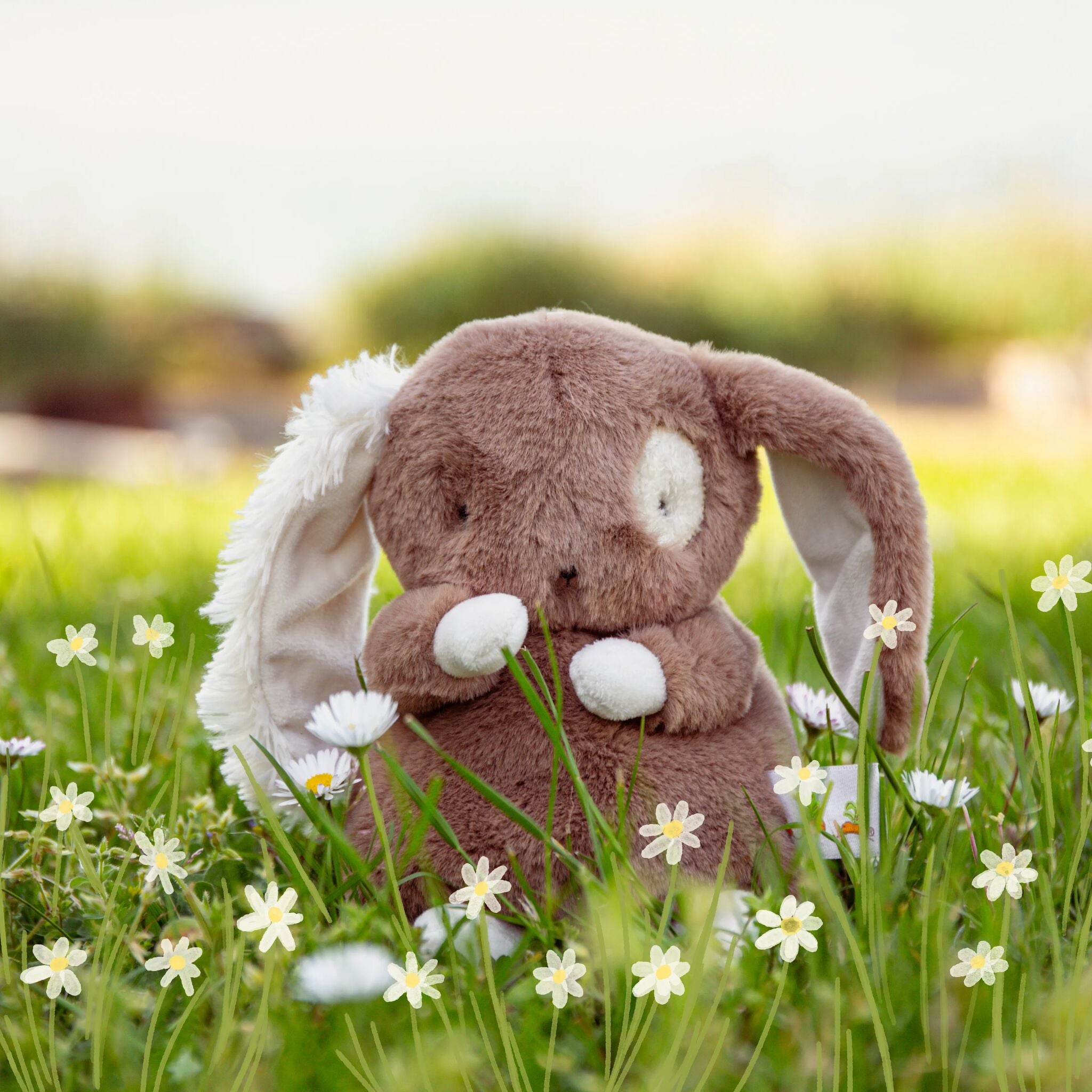 580597: Baby Harriet Hare