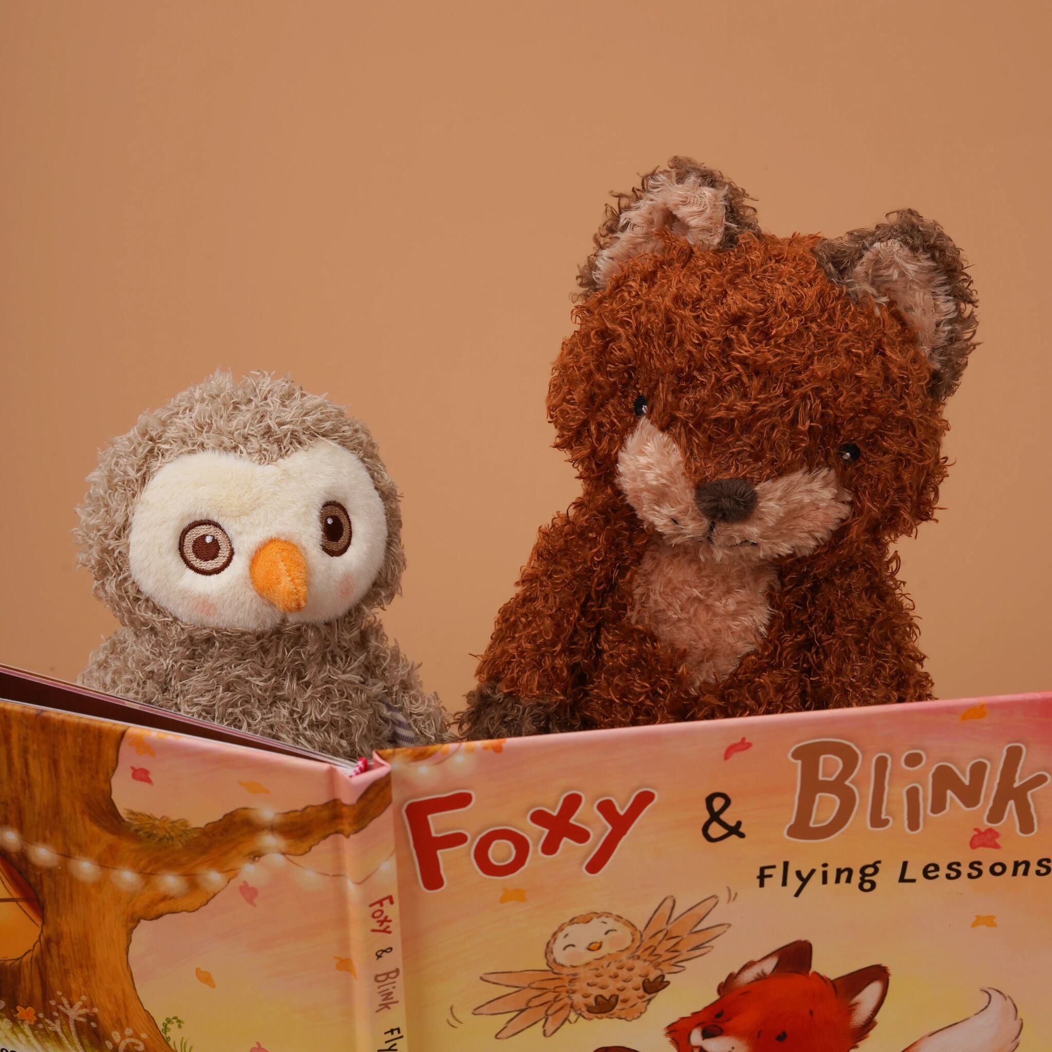 190632: Foxy & Blink Flying Lesson Story Book