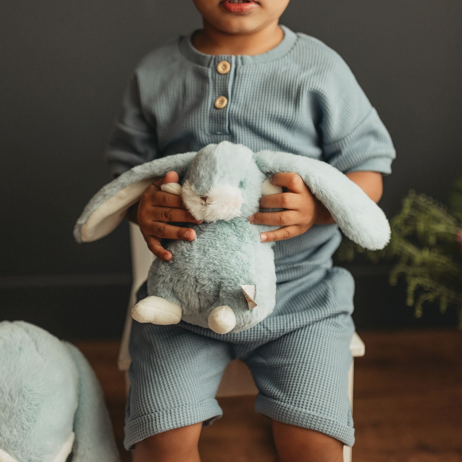 190312: Tiny Nibble 8" Bunny Maui Blue