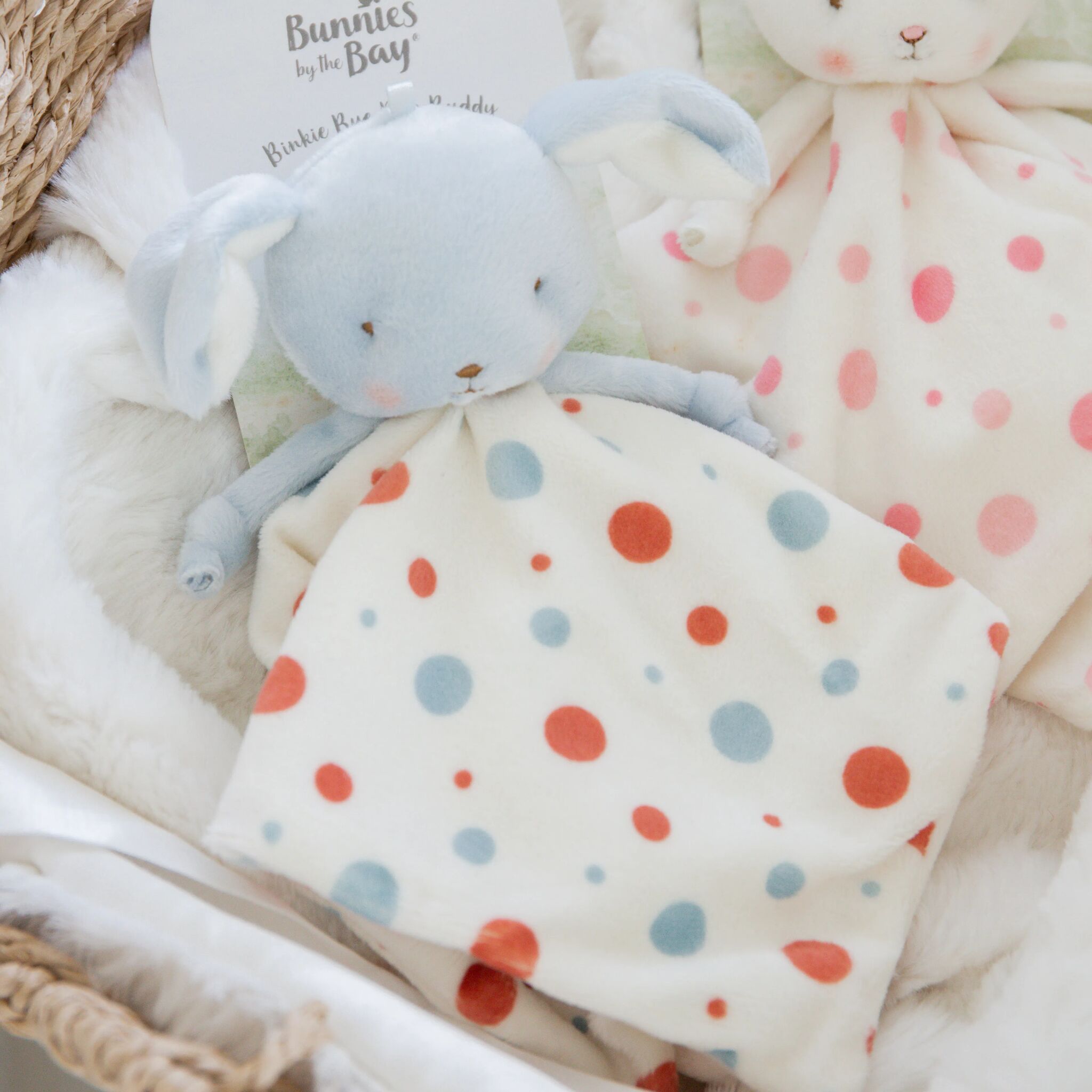 106077: Skipit Puppy Binkie Bye Bye