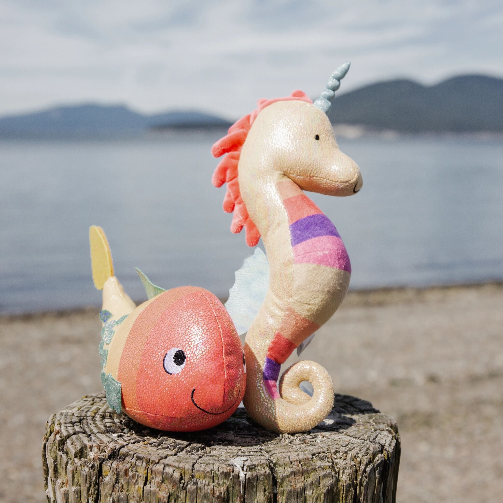 190630: Marco the Unicorn Seahorse