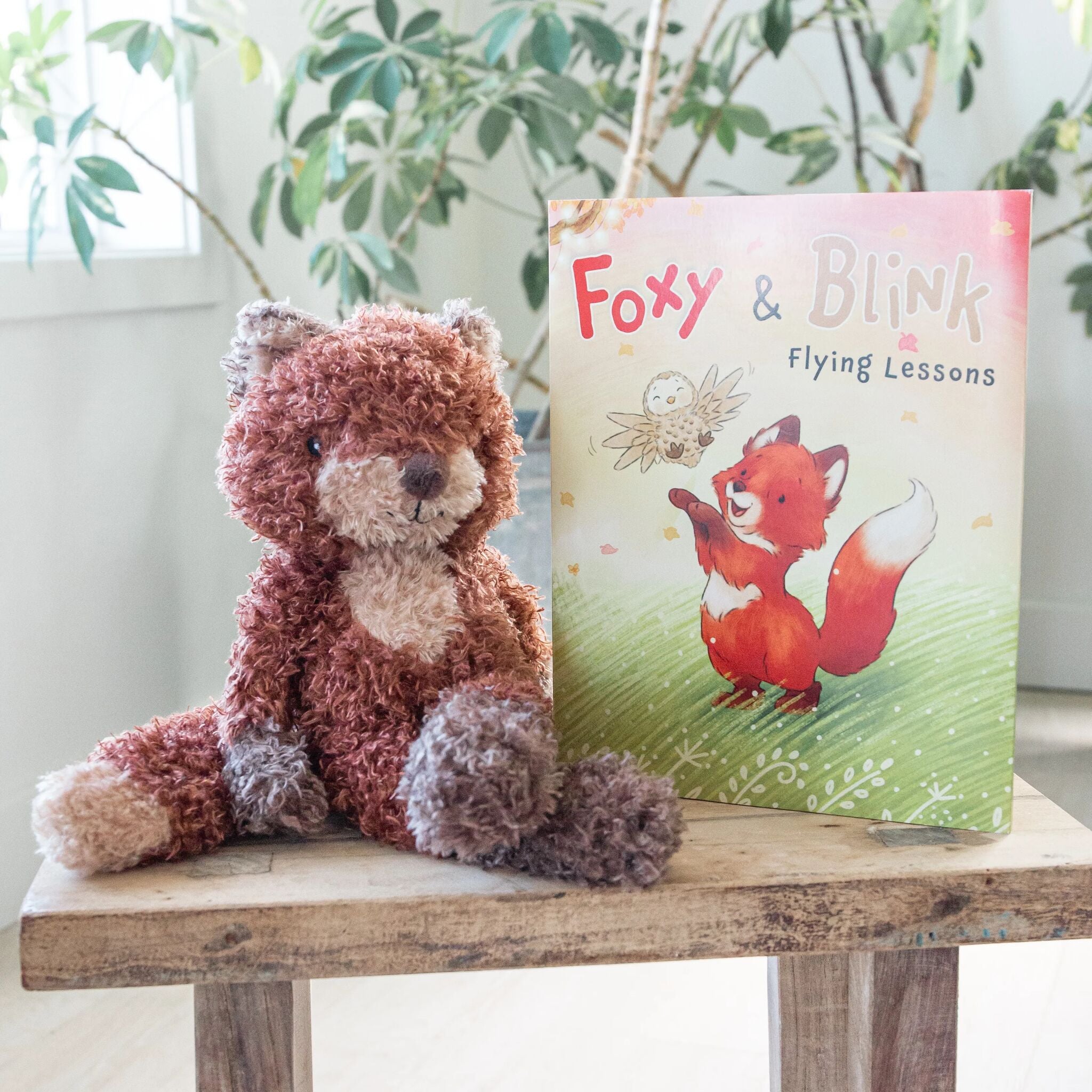 190632: Foxy & Blink Flying Lesson Story Book