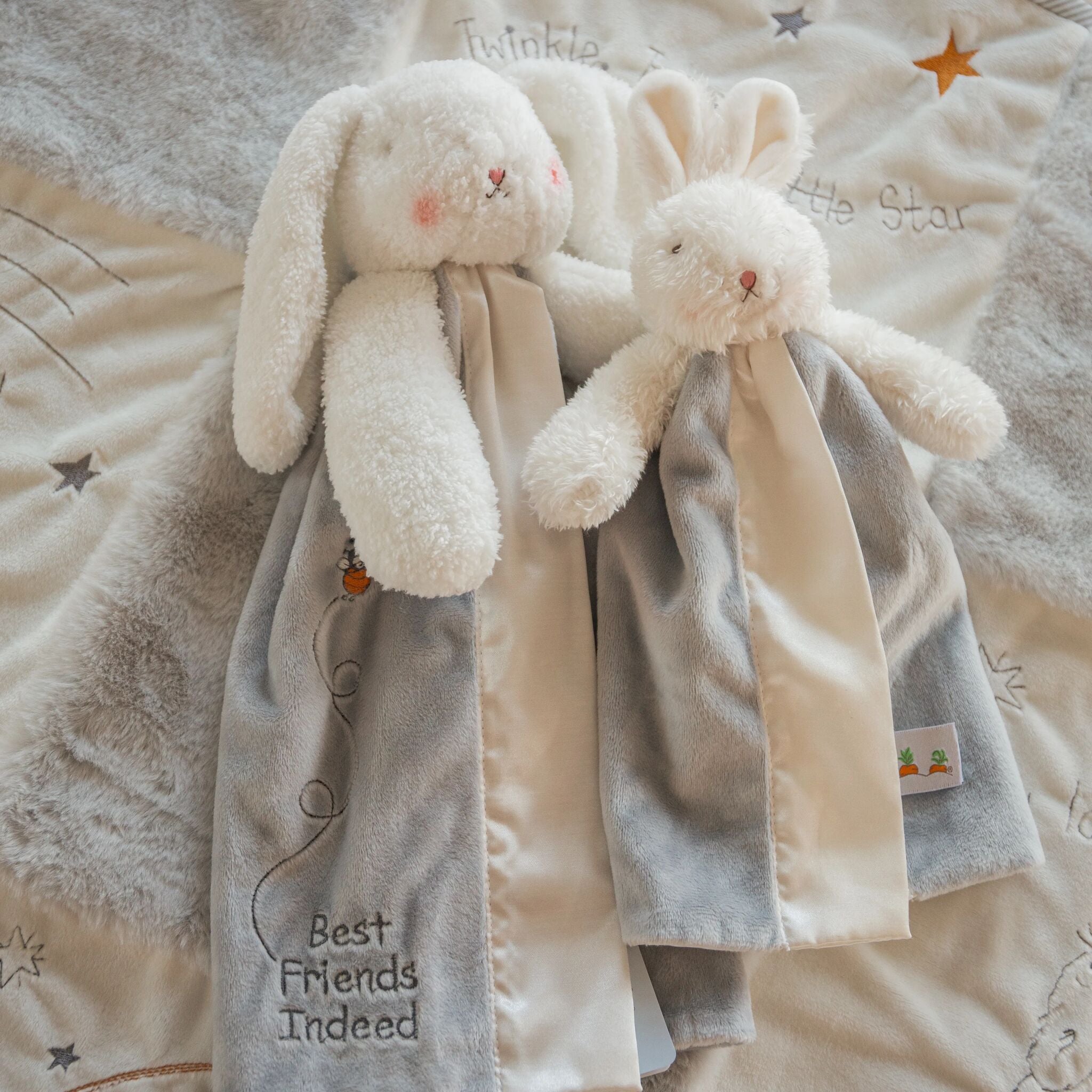 100105: Bloom Bunny Buddy Blanket