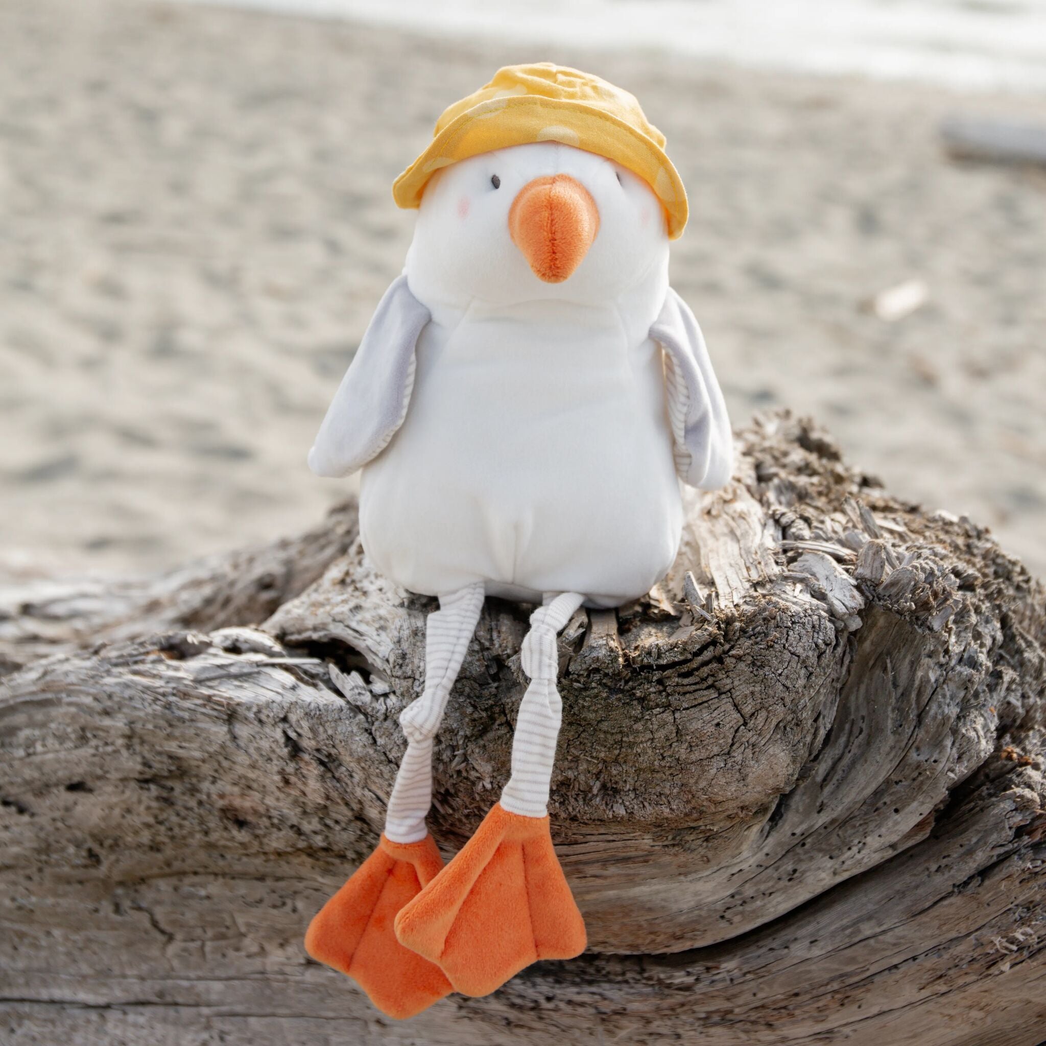 106058: Gulliver Seagull