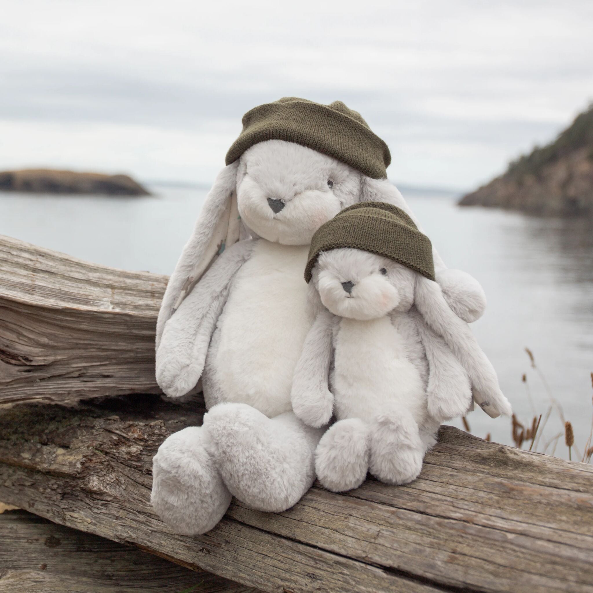 207413: Cascadia PNW - Wee 10" Floppy Nibble Bunny