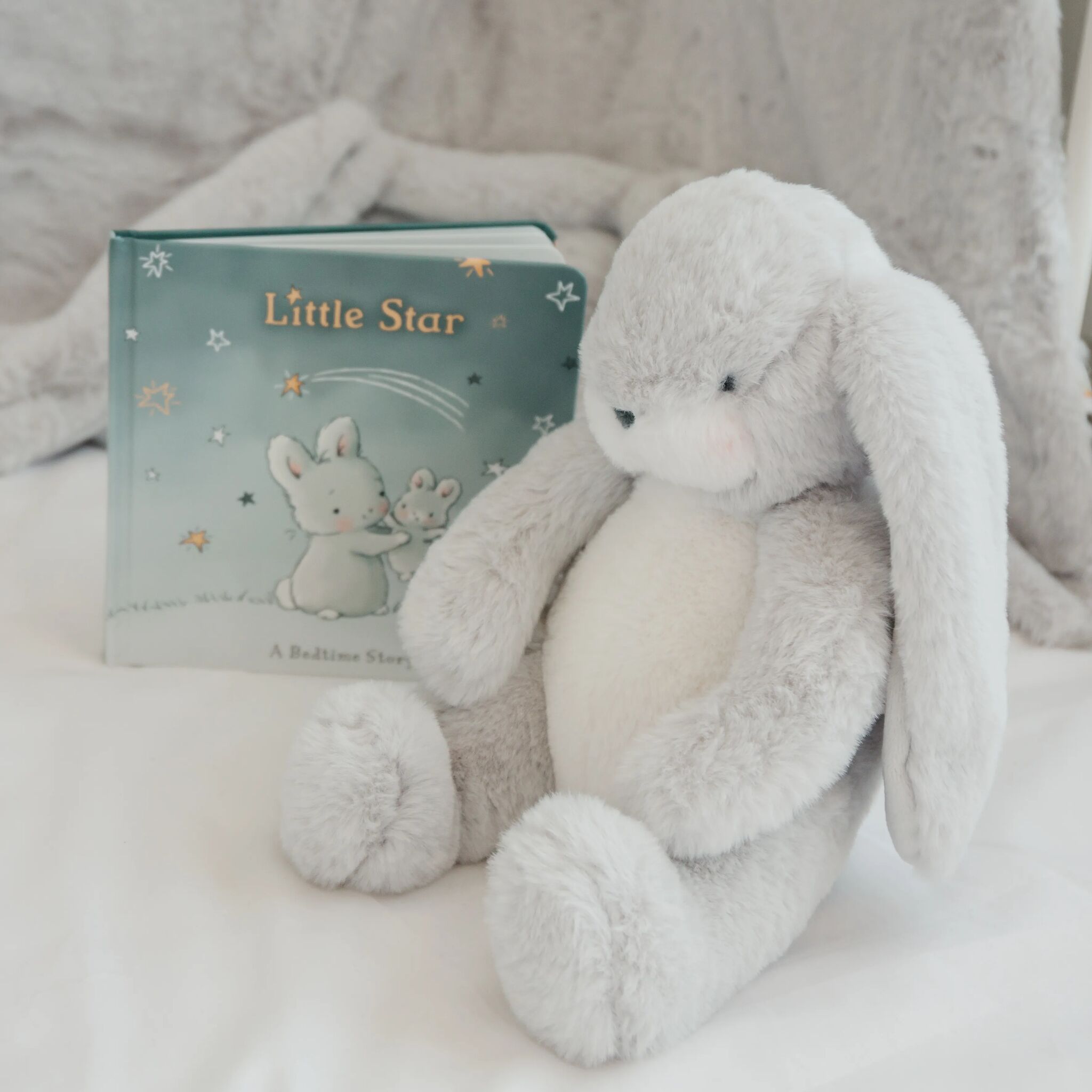 100732: Little Star Board Book