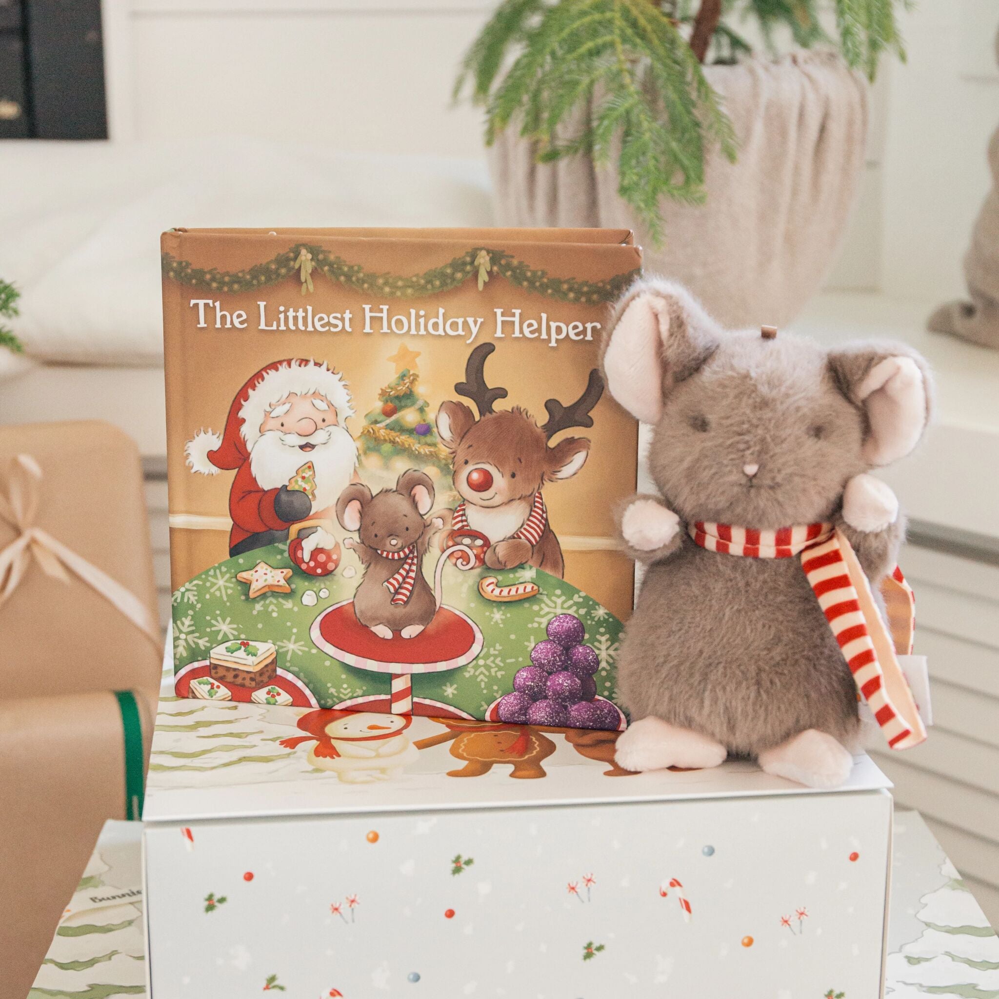 190662: The Littlest Holiday Helper - Board Book