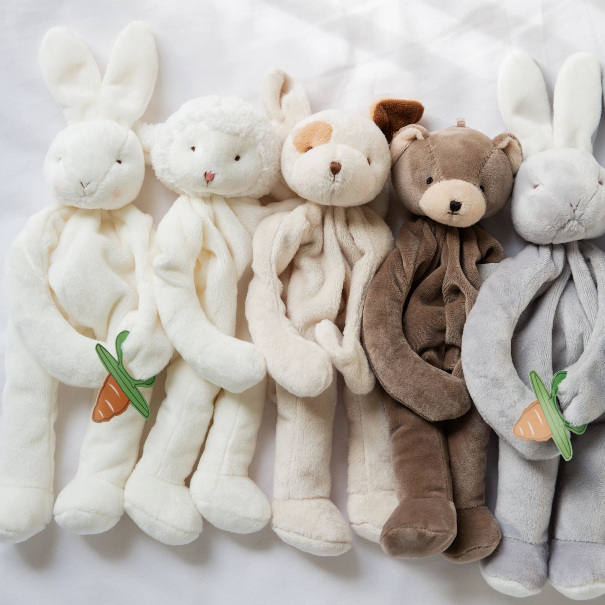 100024: Skipit Puppy Silly Buddy