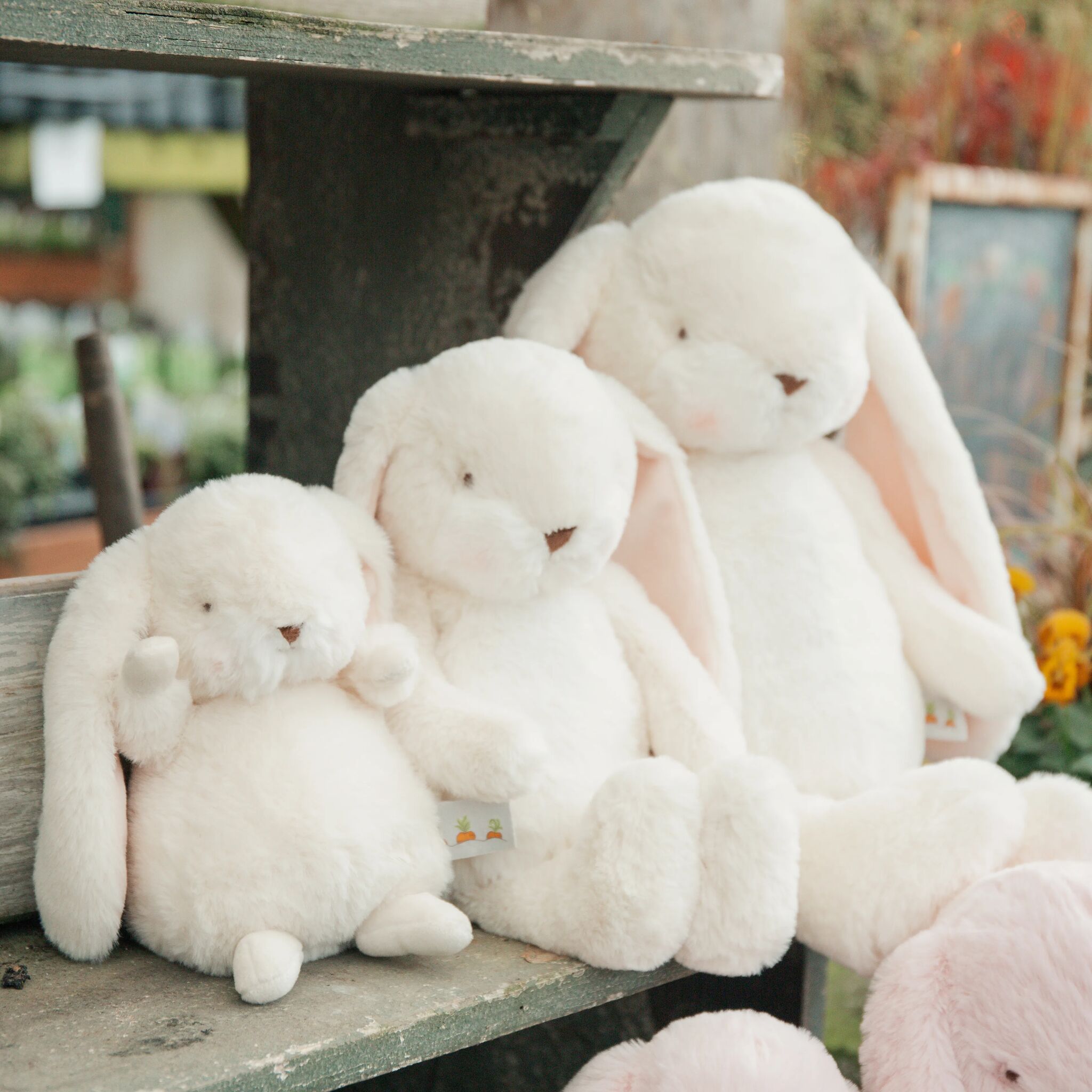 190388: Sweet 16" Nibble Bunny – Cream