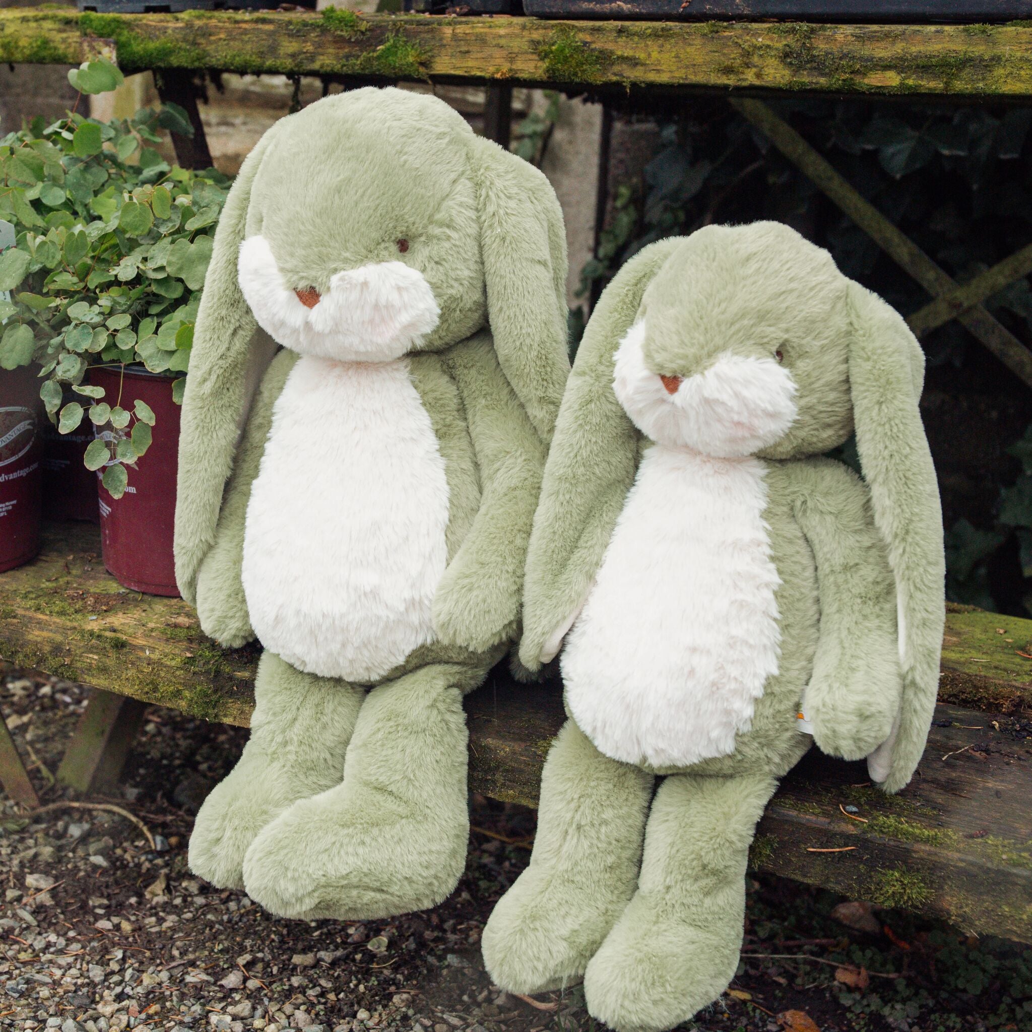 190464: Little 12" Nibble Bunny – Pistachio