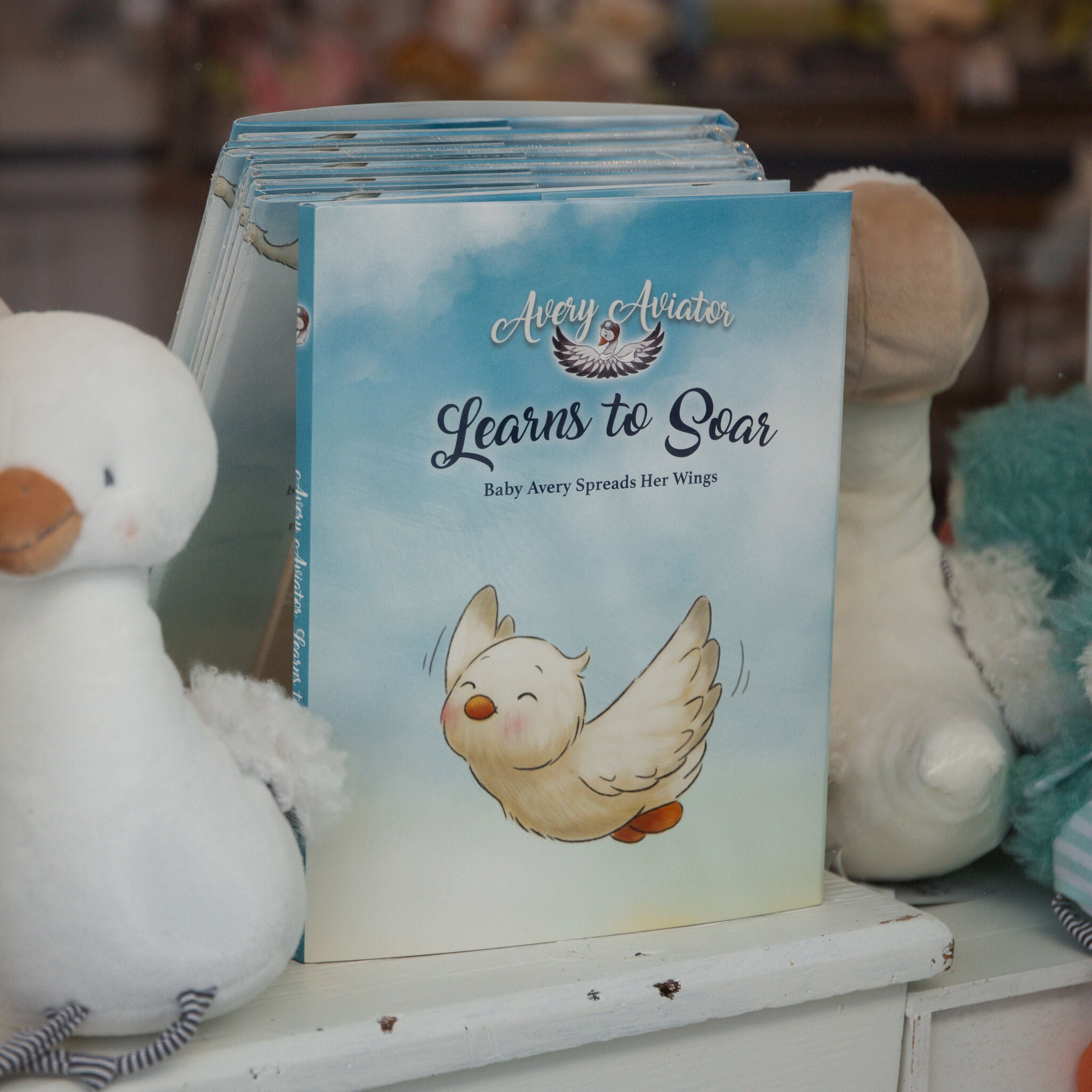 190287: Avery Aviator Learns to Soar Story Book